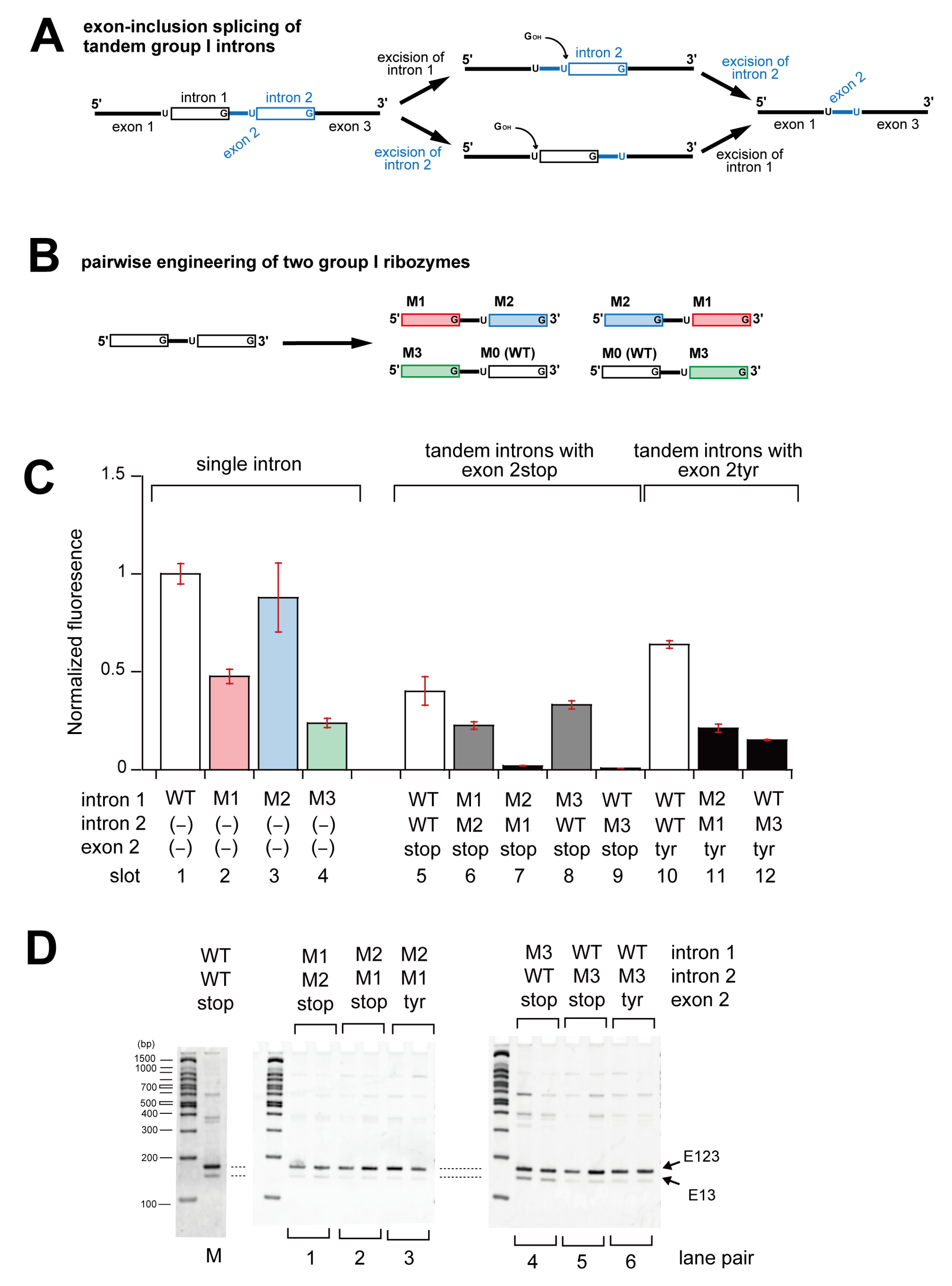 Biomolecules 13 00654 g005 Biomolecules 13 00654 g005