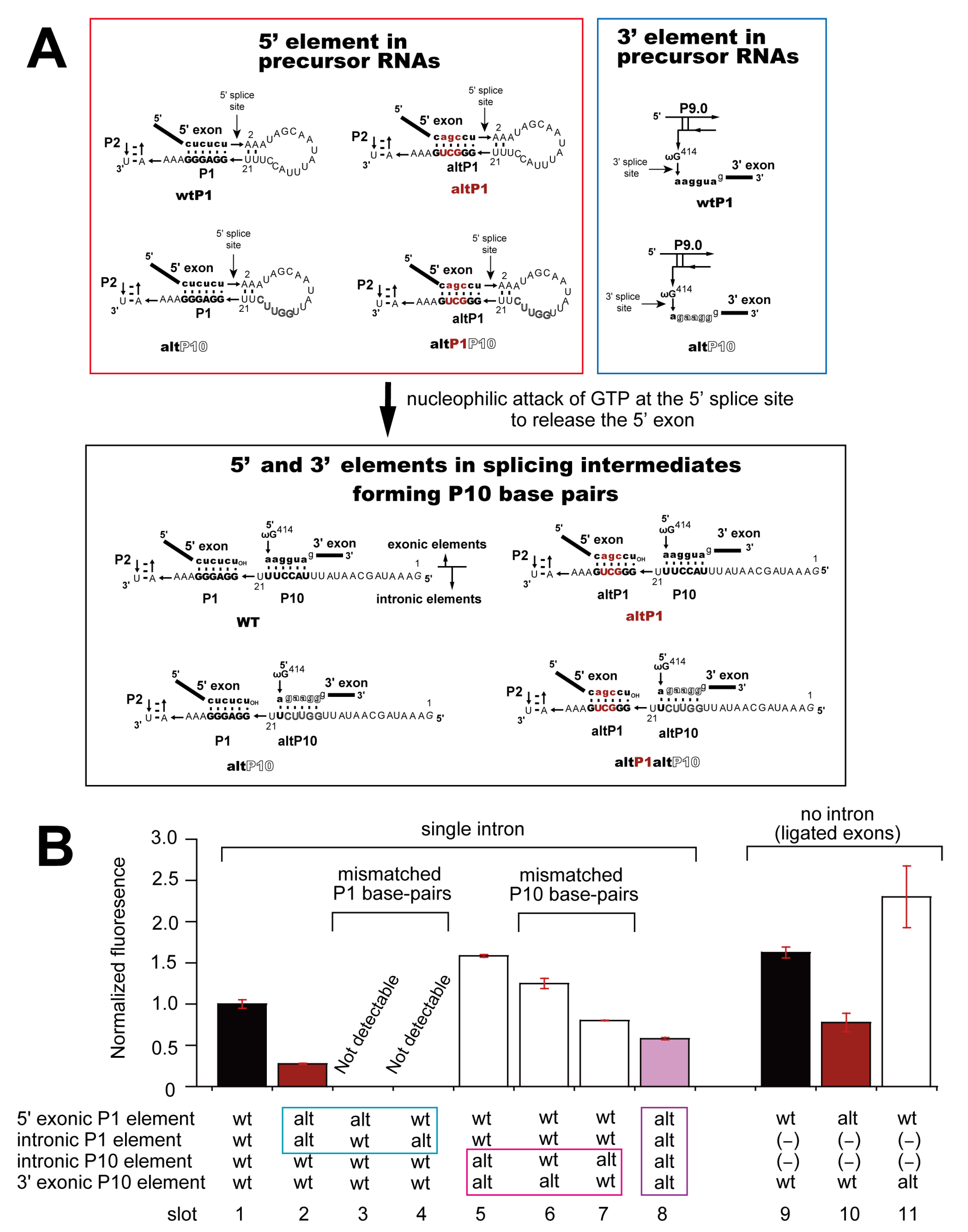 Biomolecules 13 00654 g007 Biomolecules 13 00654 g007