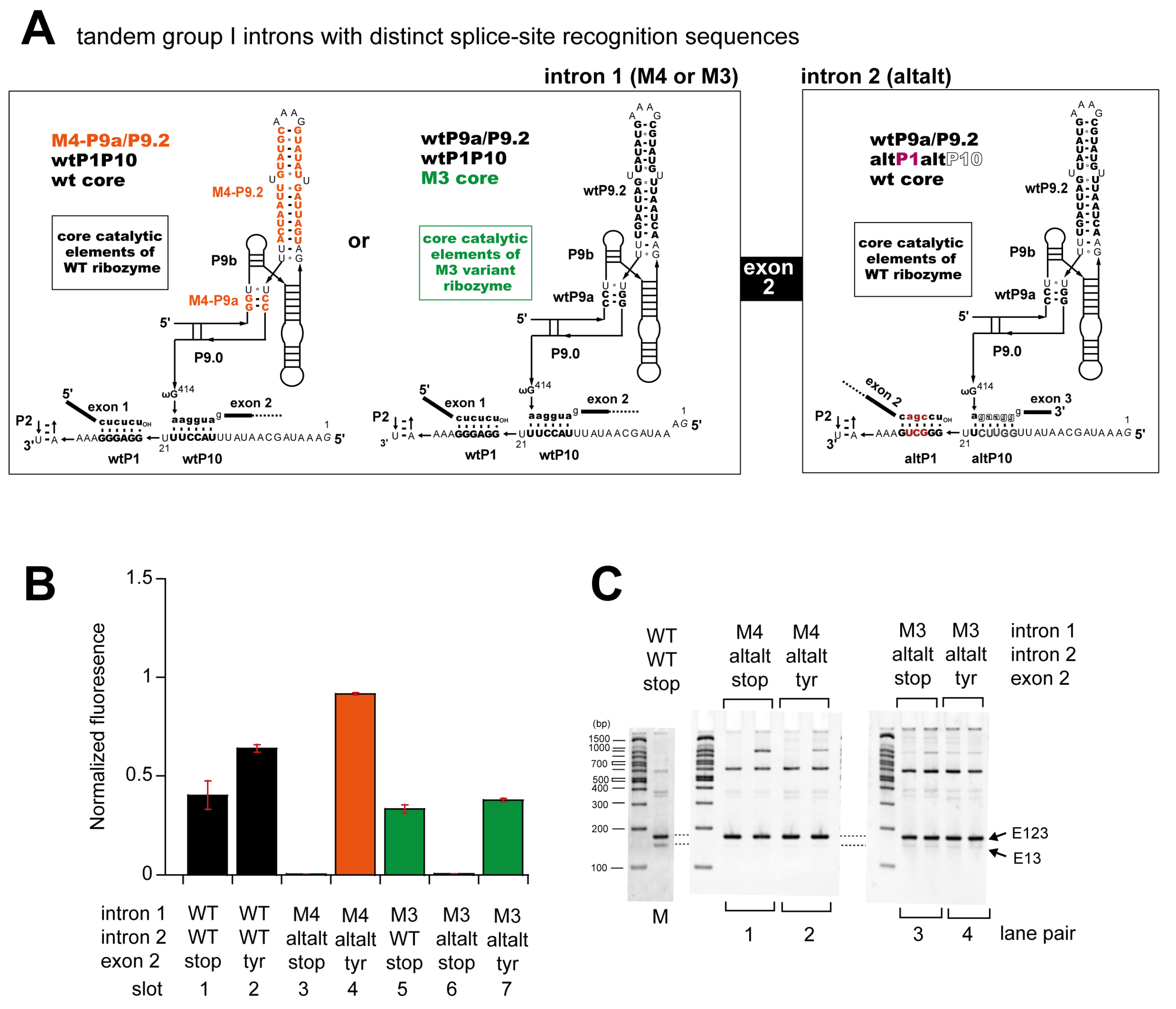 Biomolecules 13 00654 g008 Biomolecules 13 00654 g008