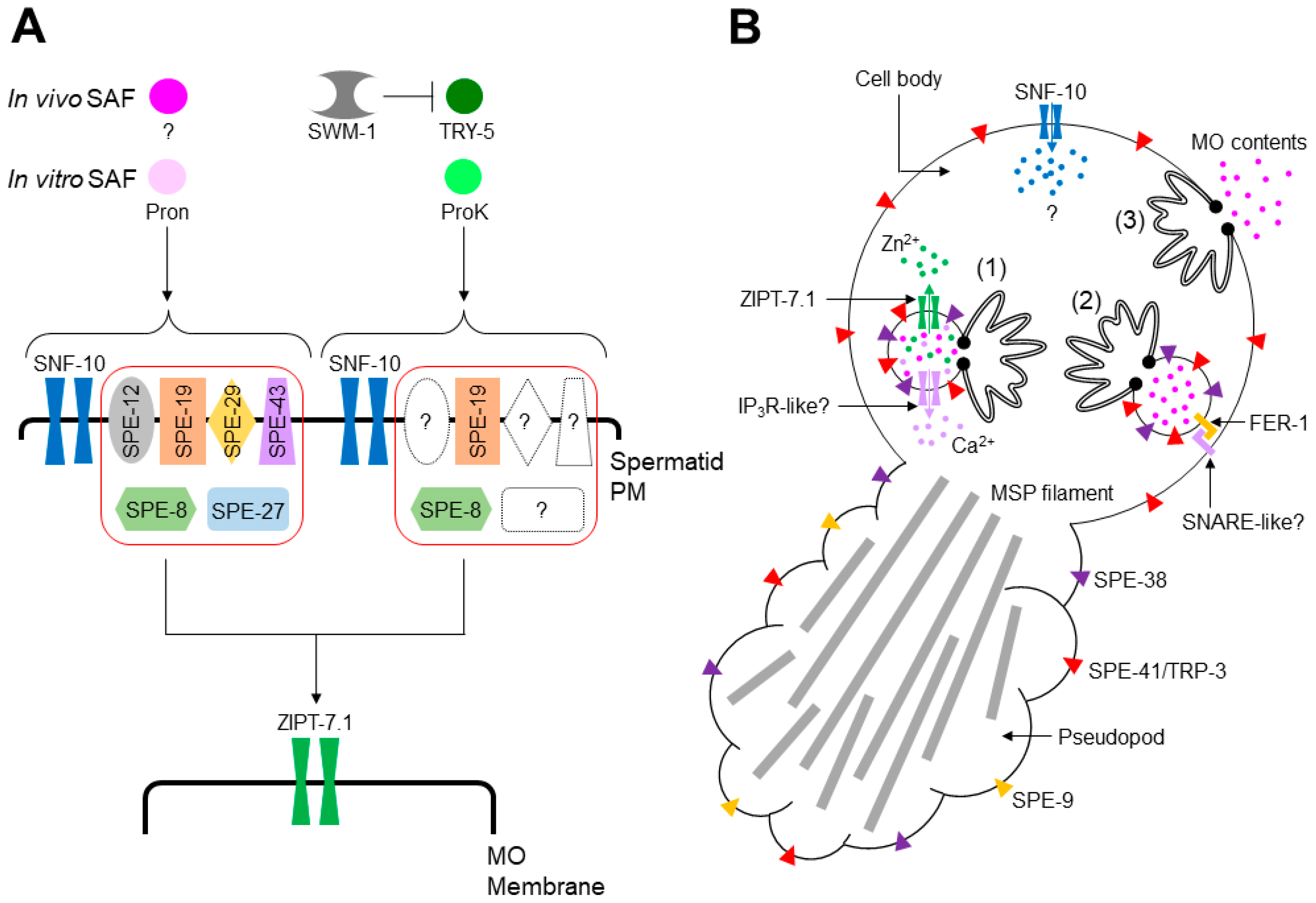 Biomolecules 13 00657 g003