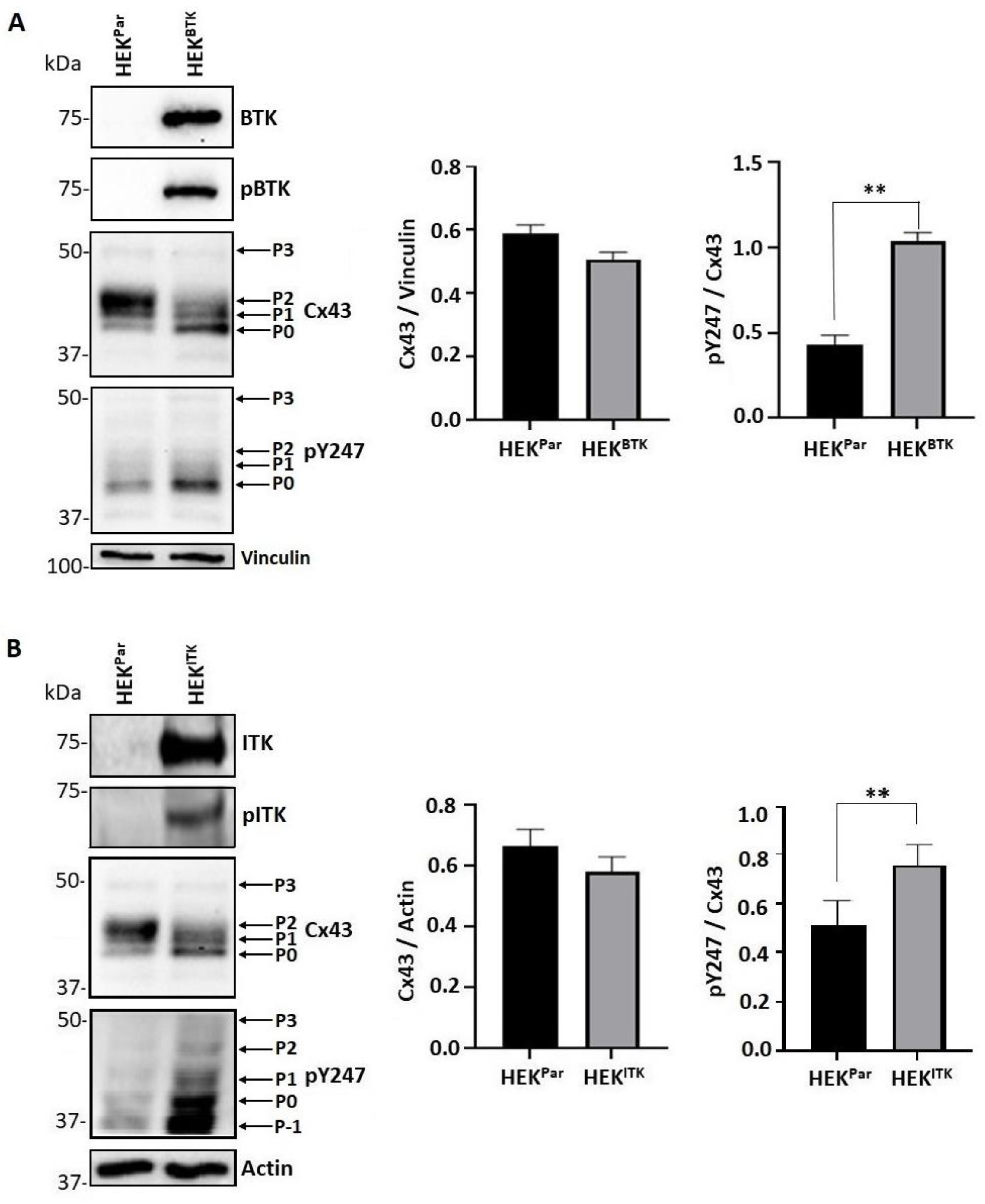 Biomolecules 13 00660 g003