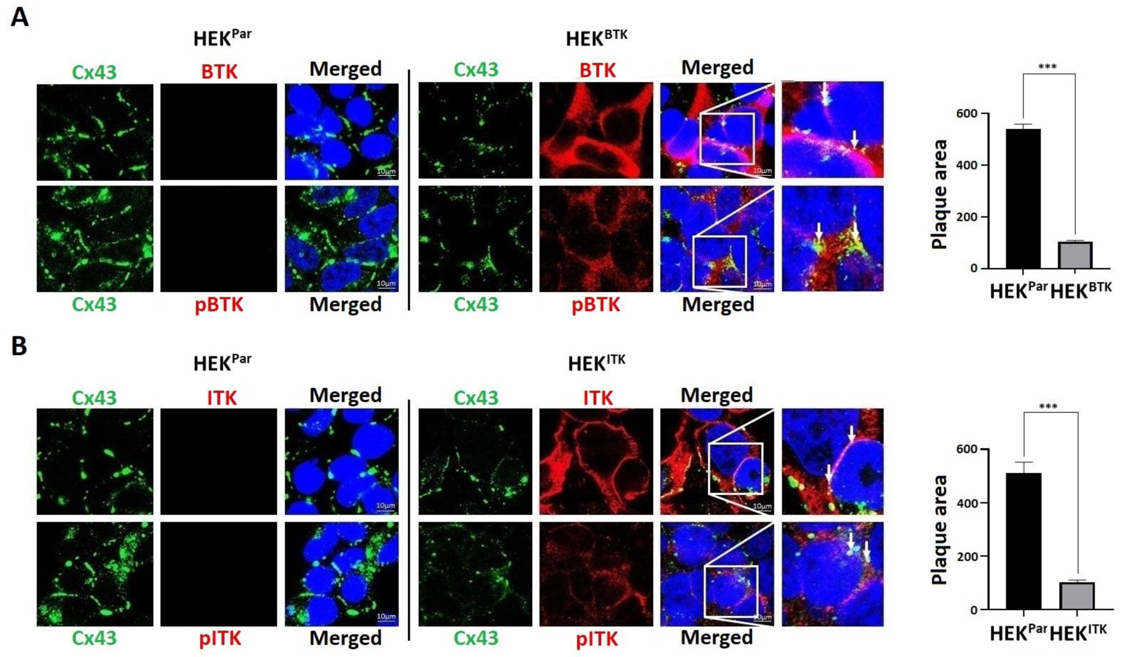Biomolecules 13 00660 g004