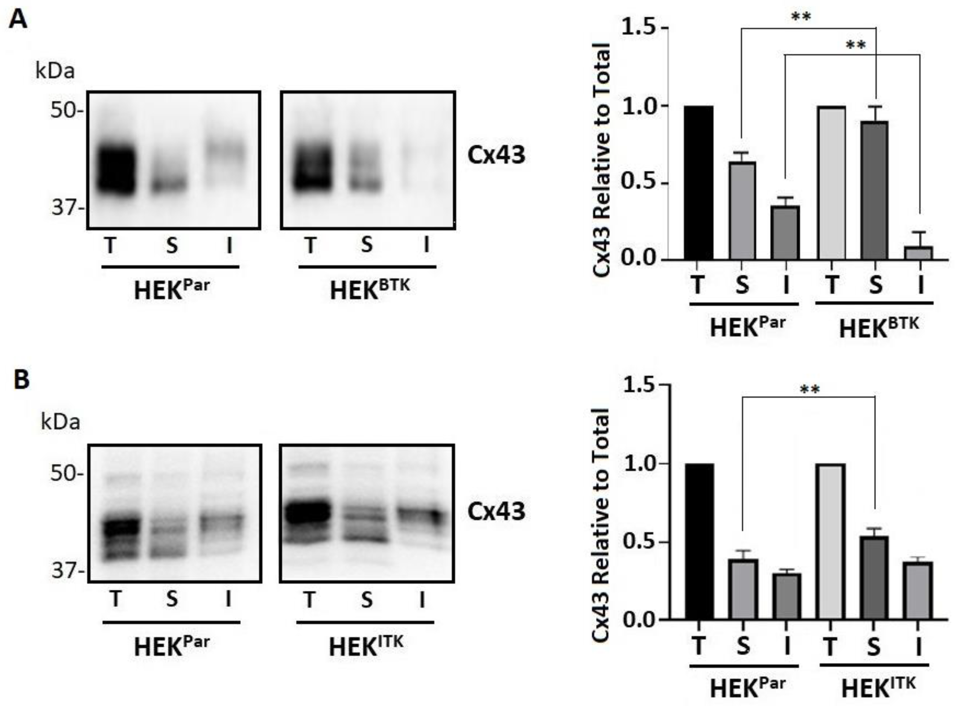 Biomolecules 13 00660 g005