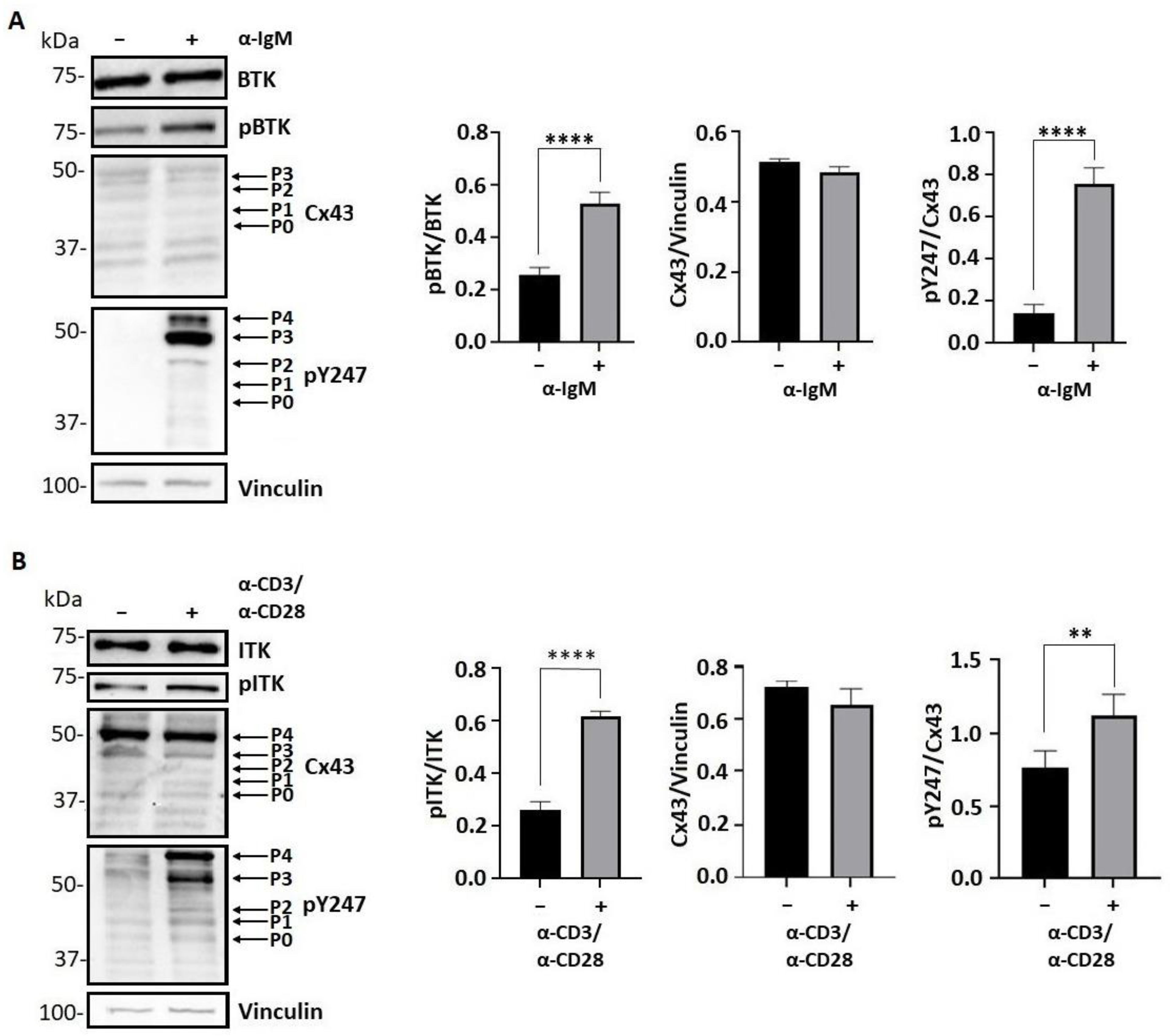 Biomolecules 13 00660 g007