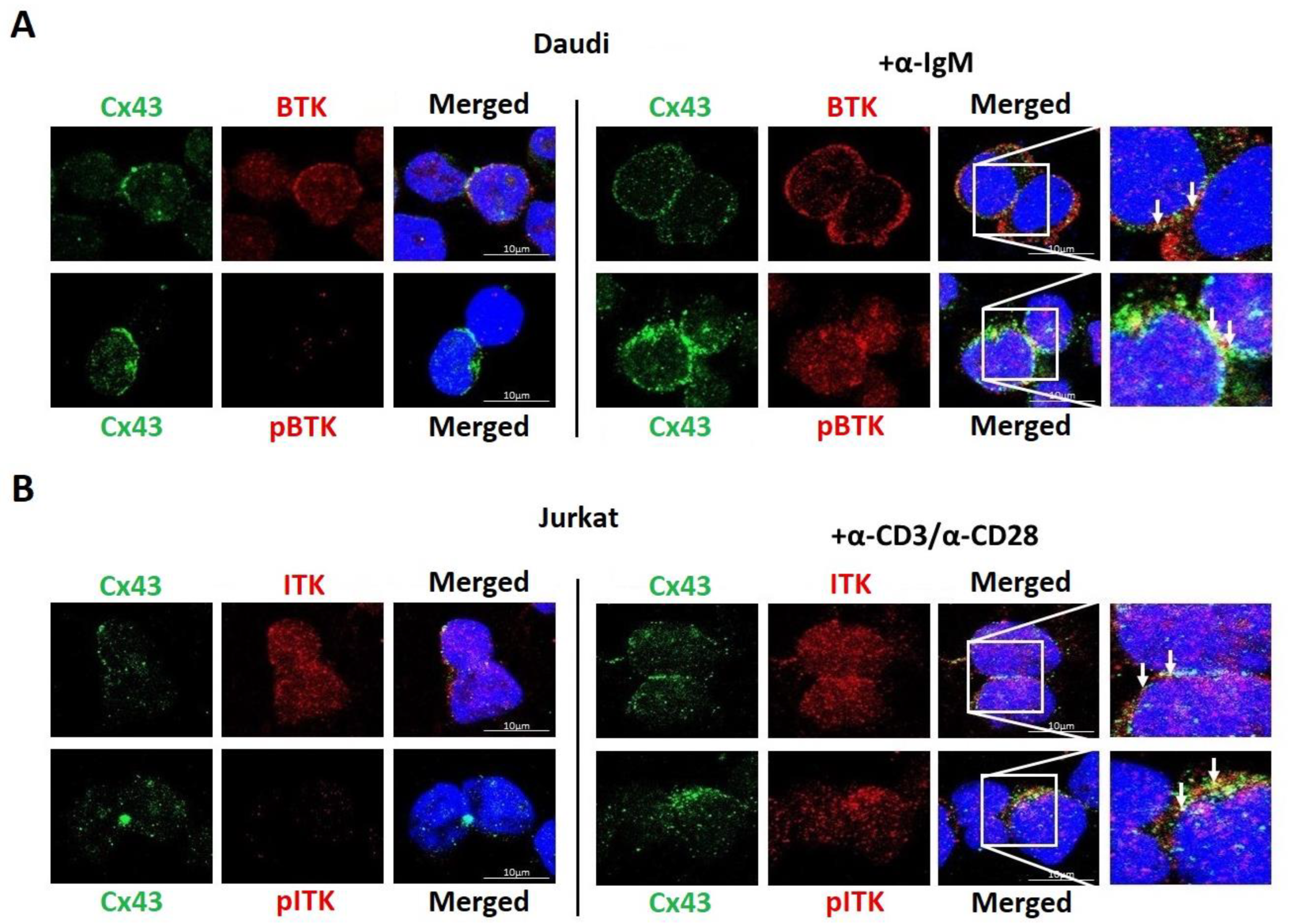 Biomolecules 13 00660 g008