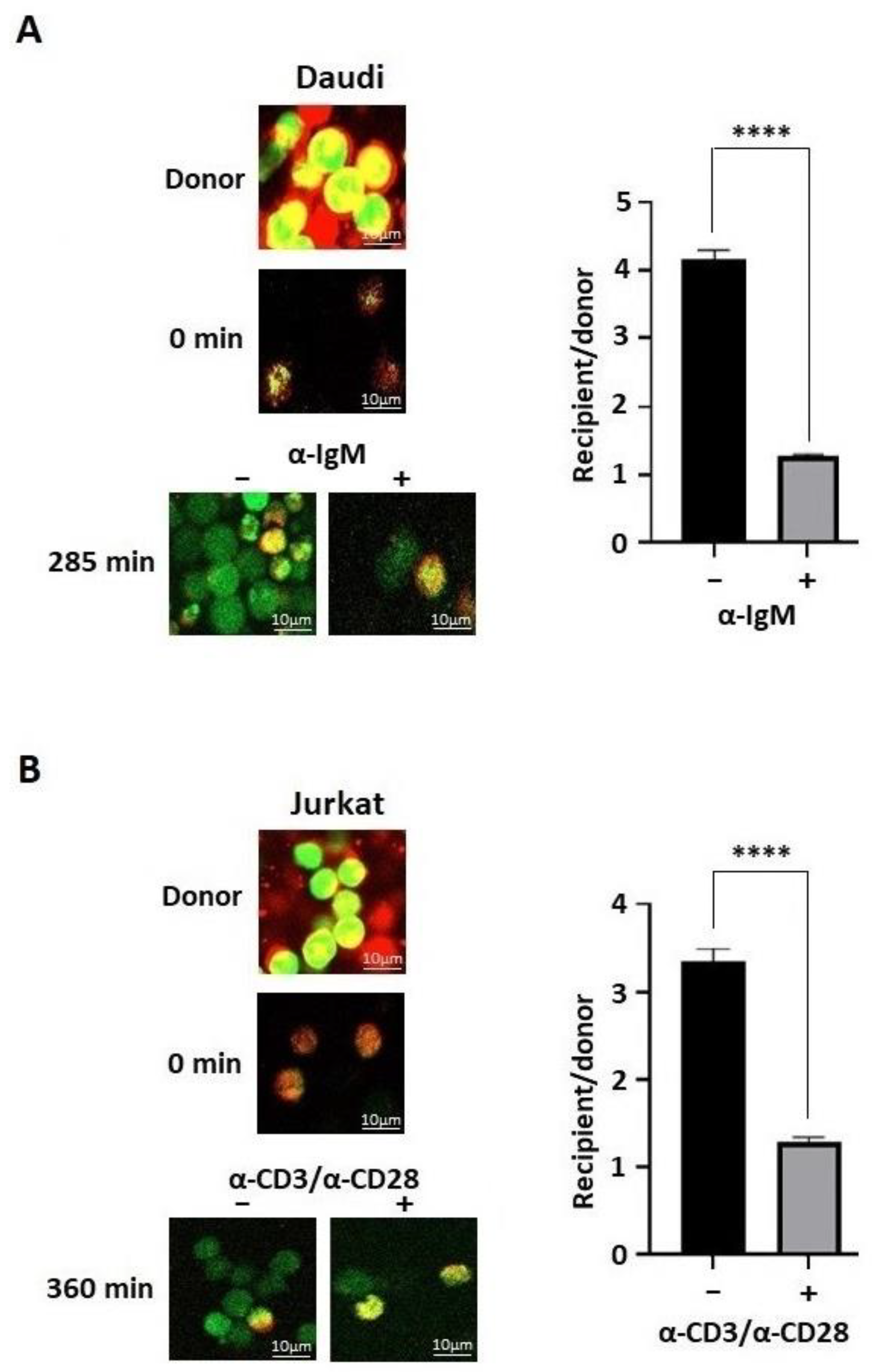 Biomolecules 13 00660 g009