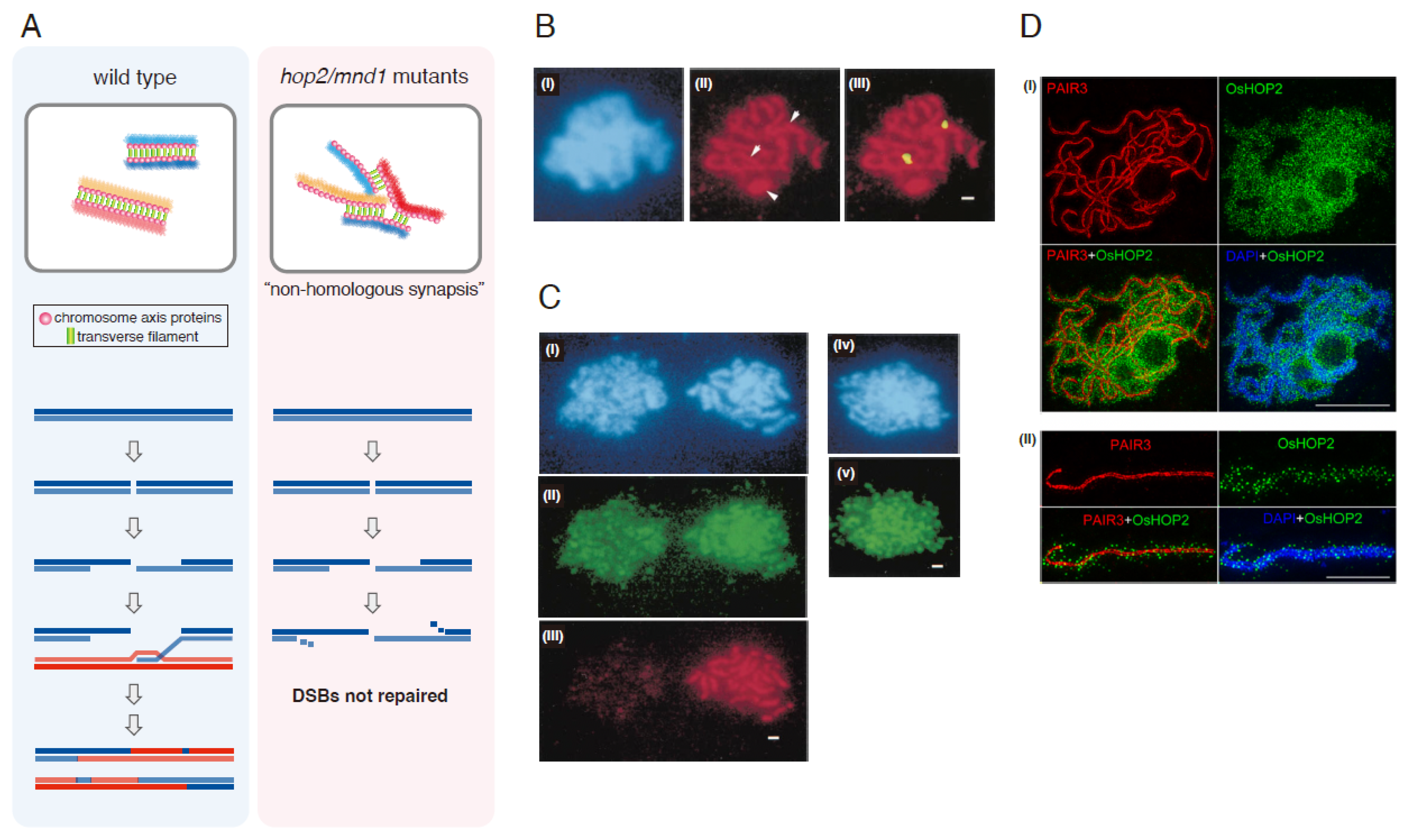 Biomolecules 13 00662 g003
