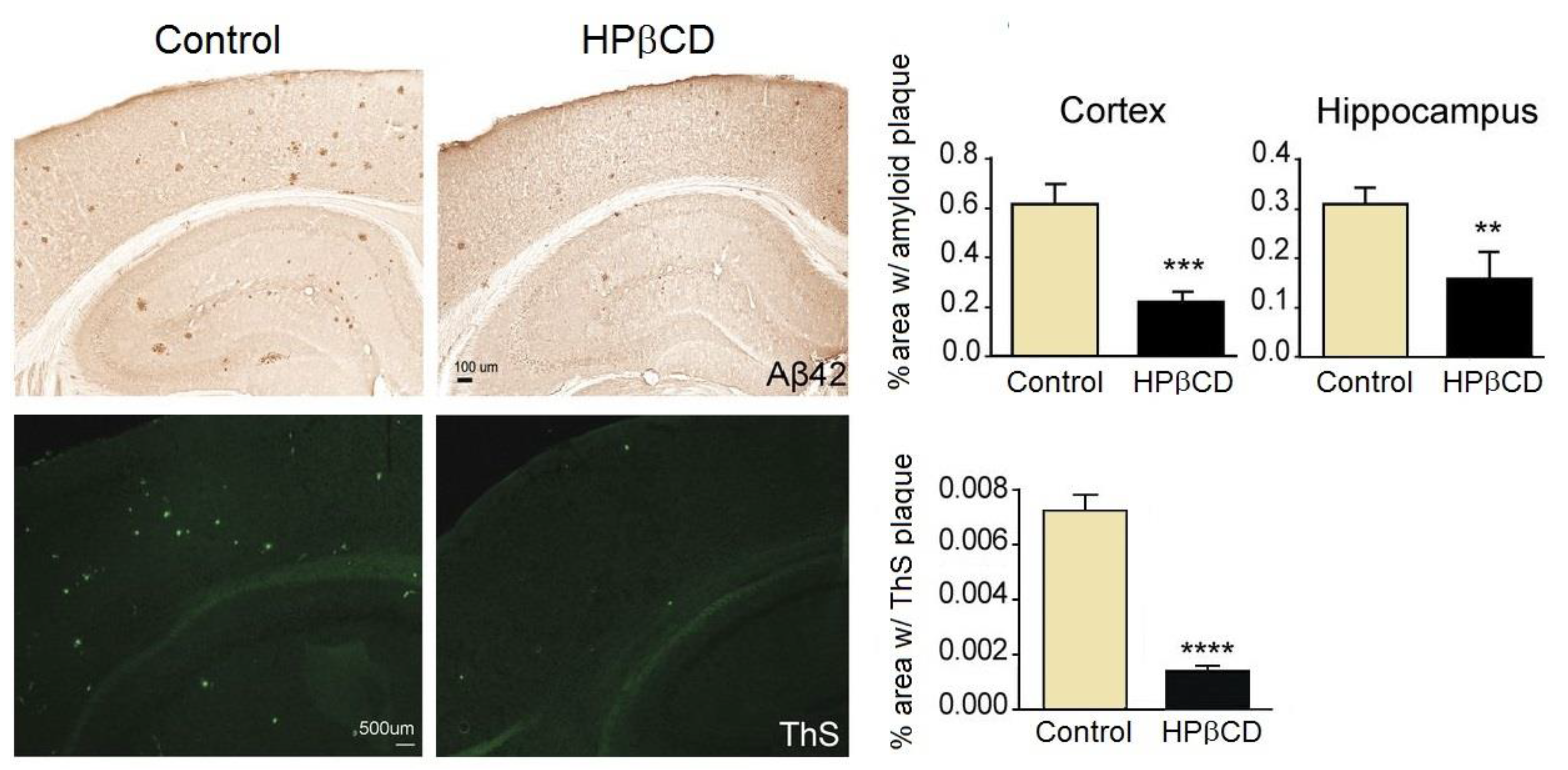 Biomolecules 13 00666 g004 Biomolecules 13 00666 g004