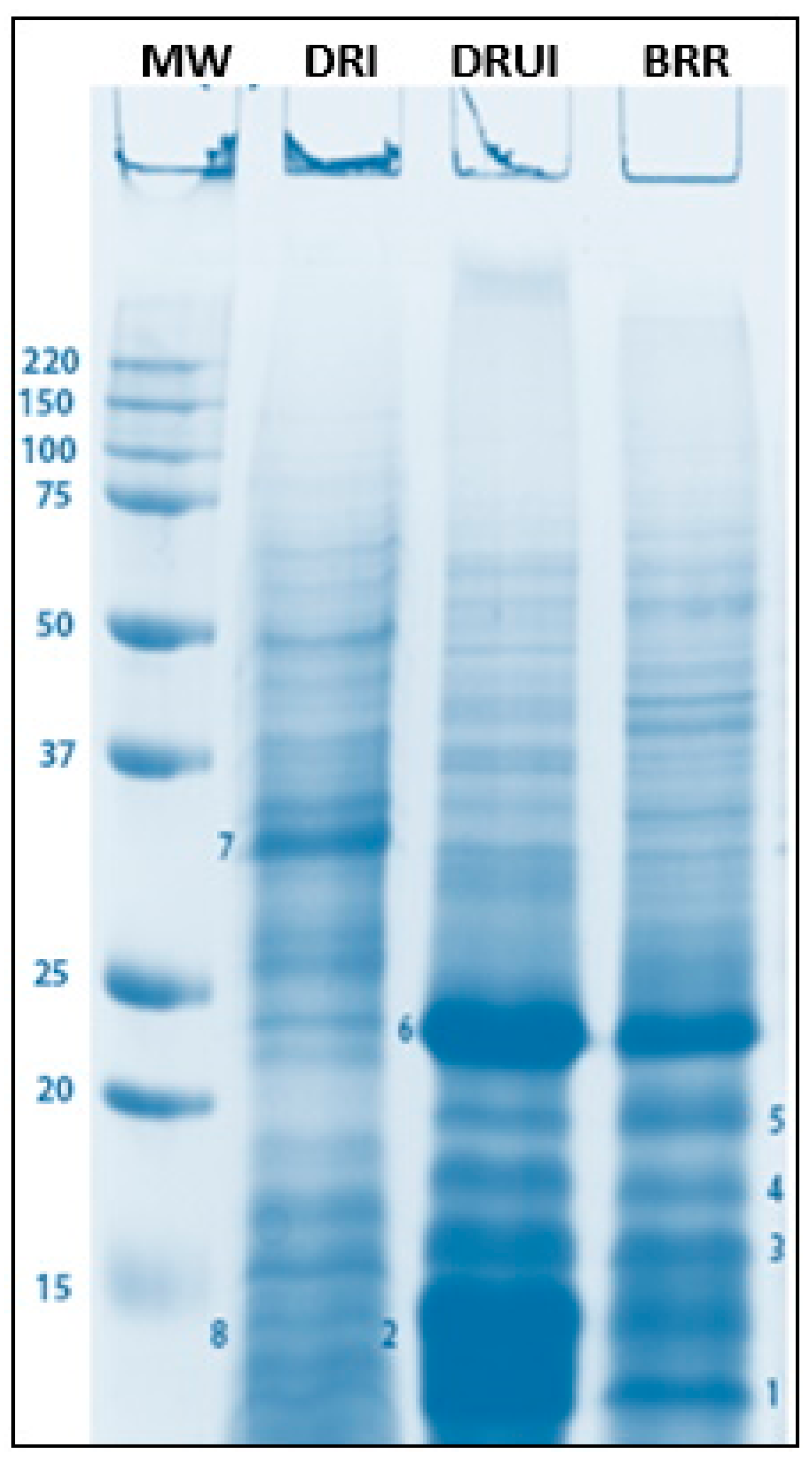 Biomolecules 13 00669 g008