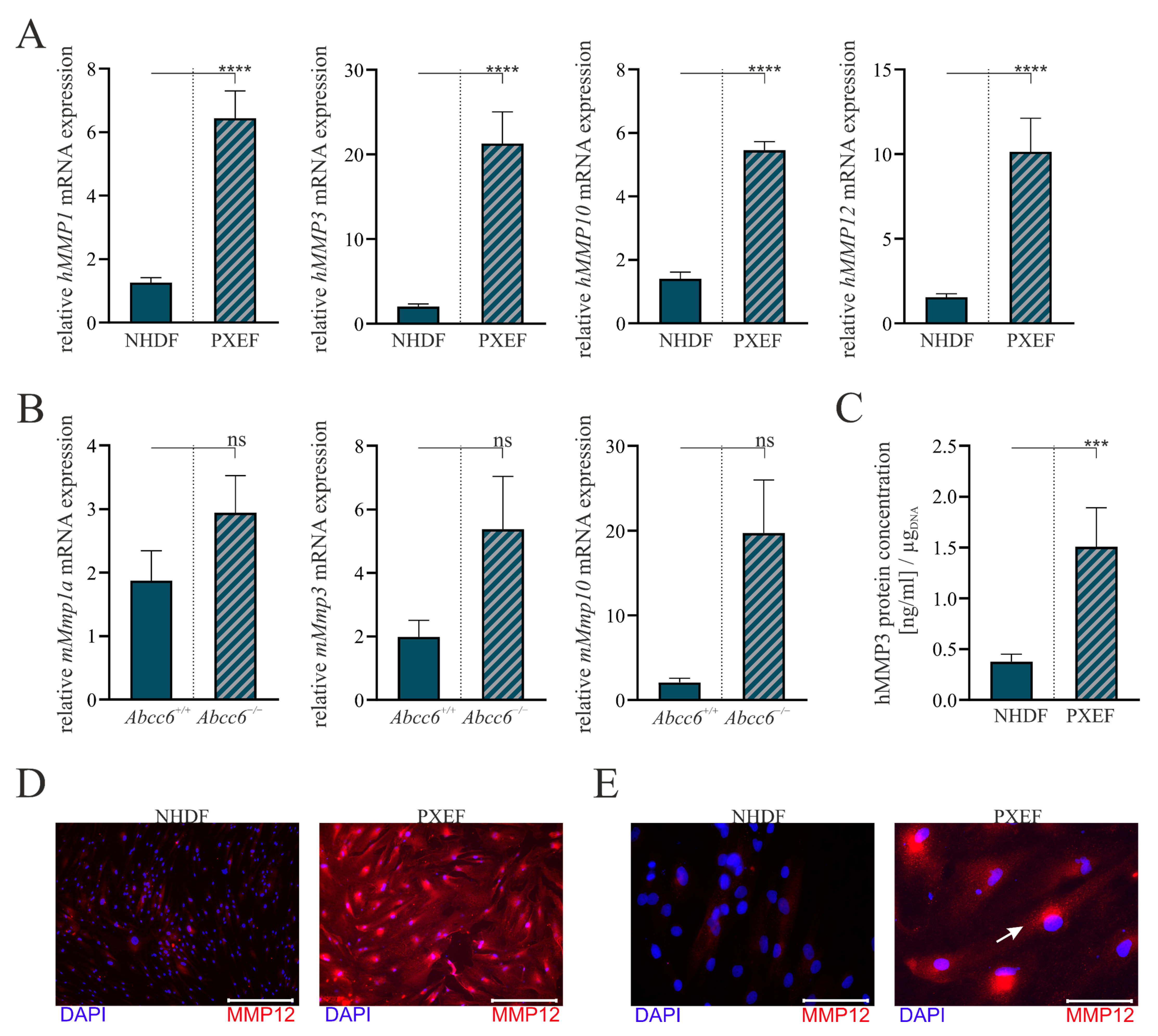 Biomolecules 13 00672 g002