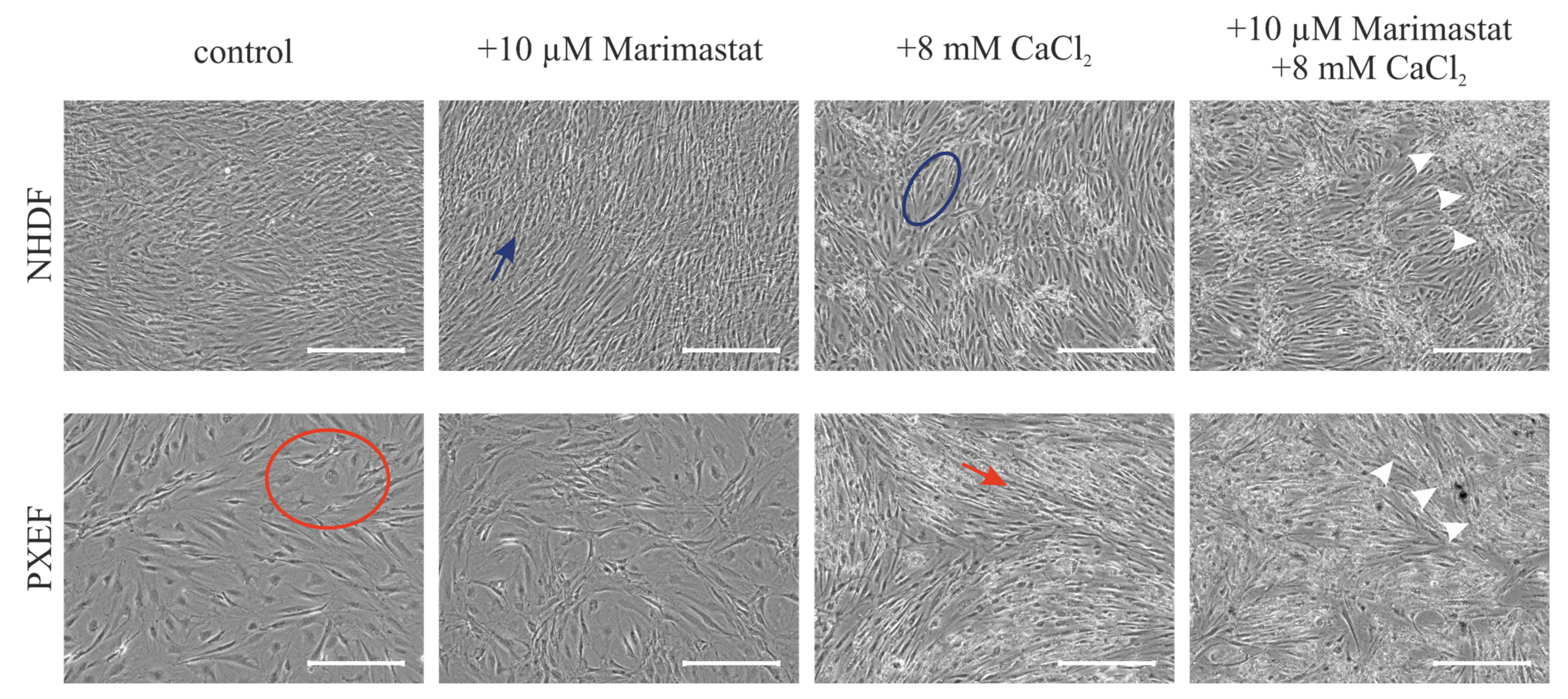 Biomolecules 13 00672 g003