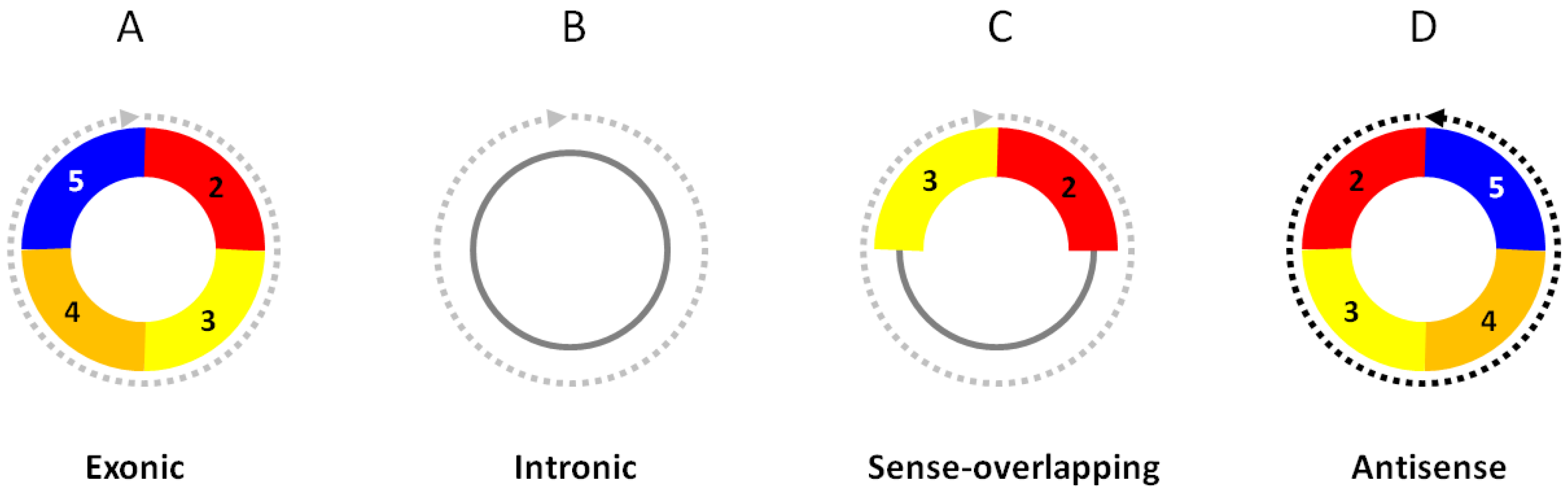 Biomolecules 13 00679 g001 Biomolecules 13 00679 g001