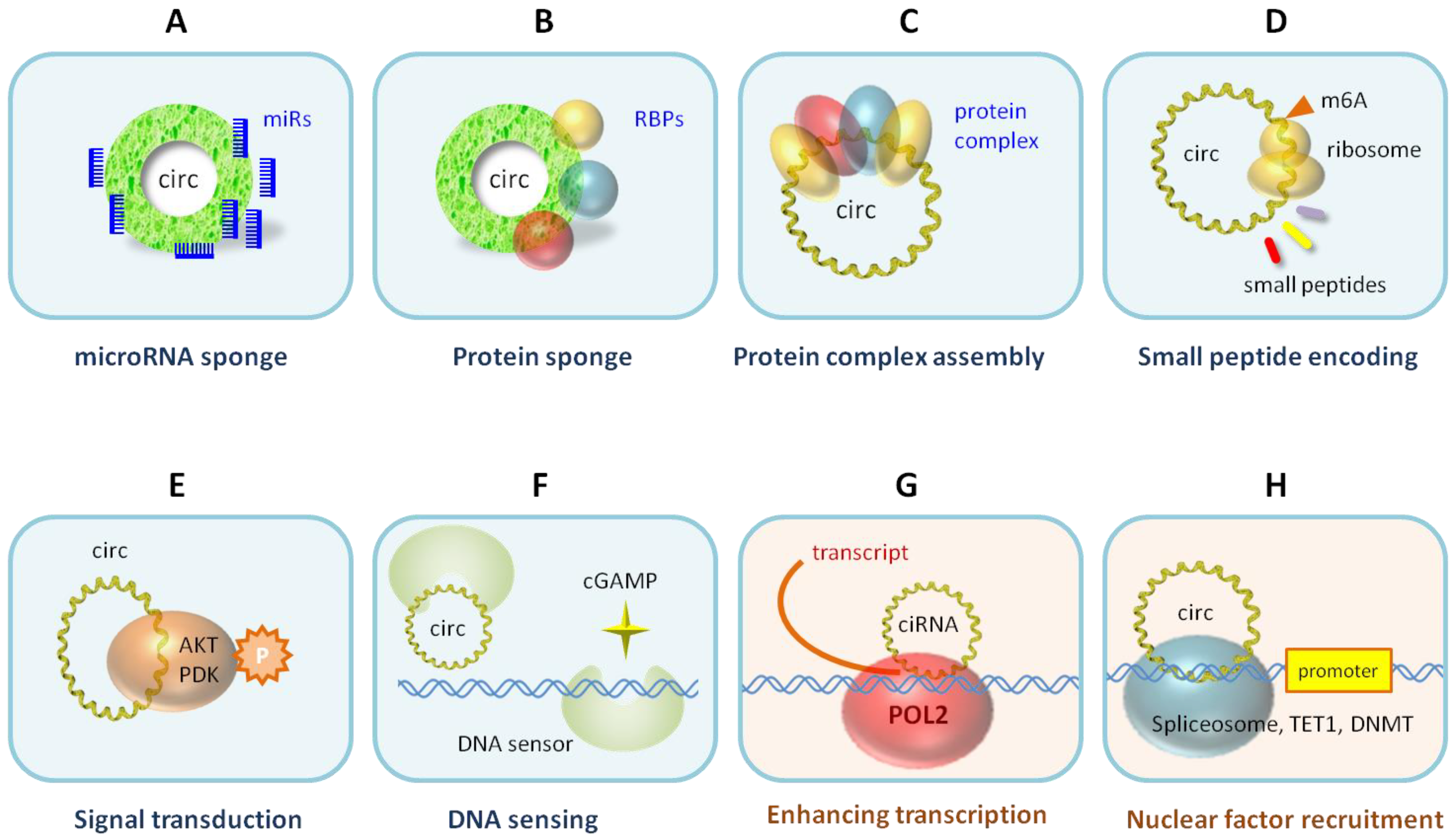 Biomolecules 13 00679 g003 Biomolecules 13 00679 g003