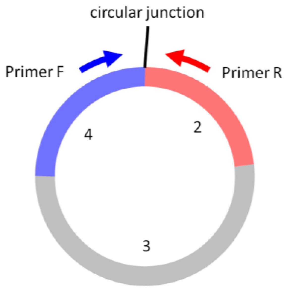 Biomolecules 13 00679 g006 Biomolecules 13 00679 g006