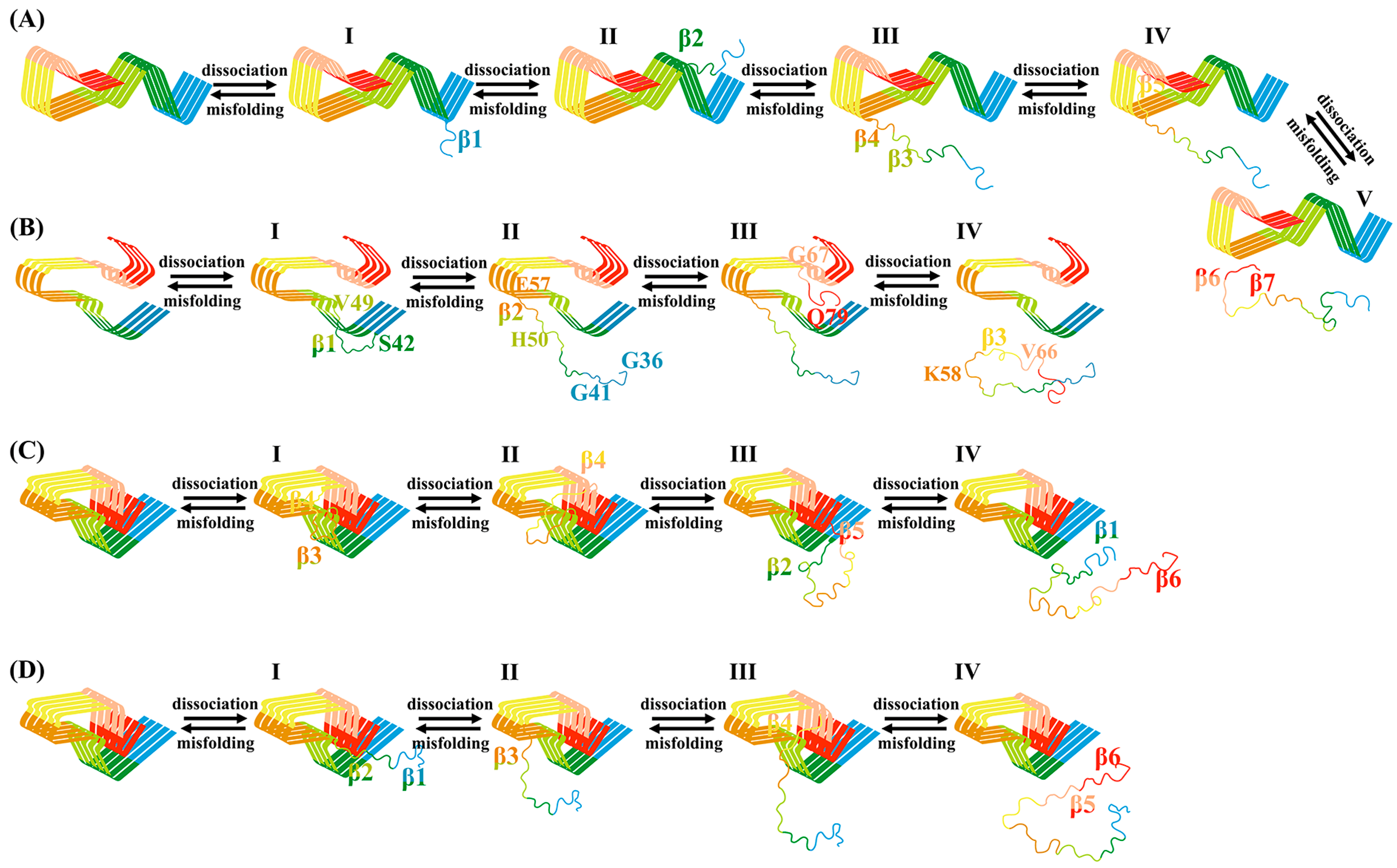 Biomolecules 13 00682 g007