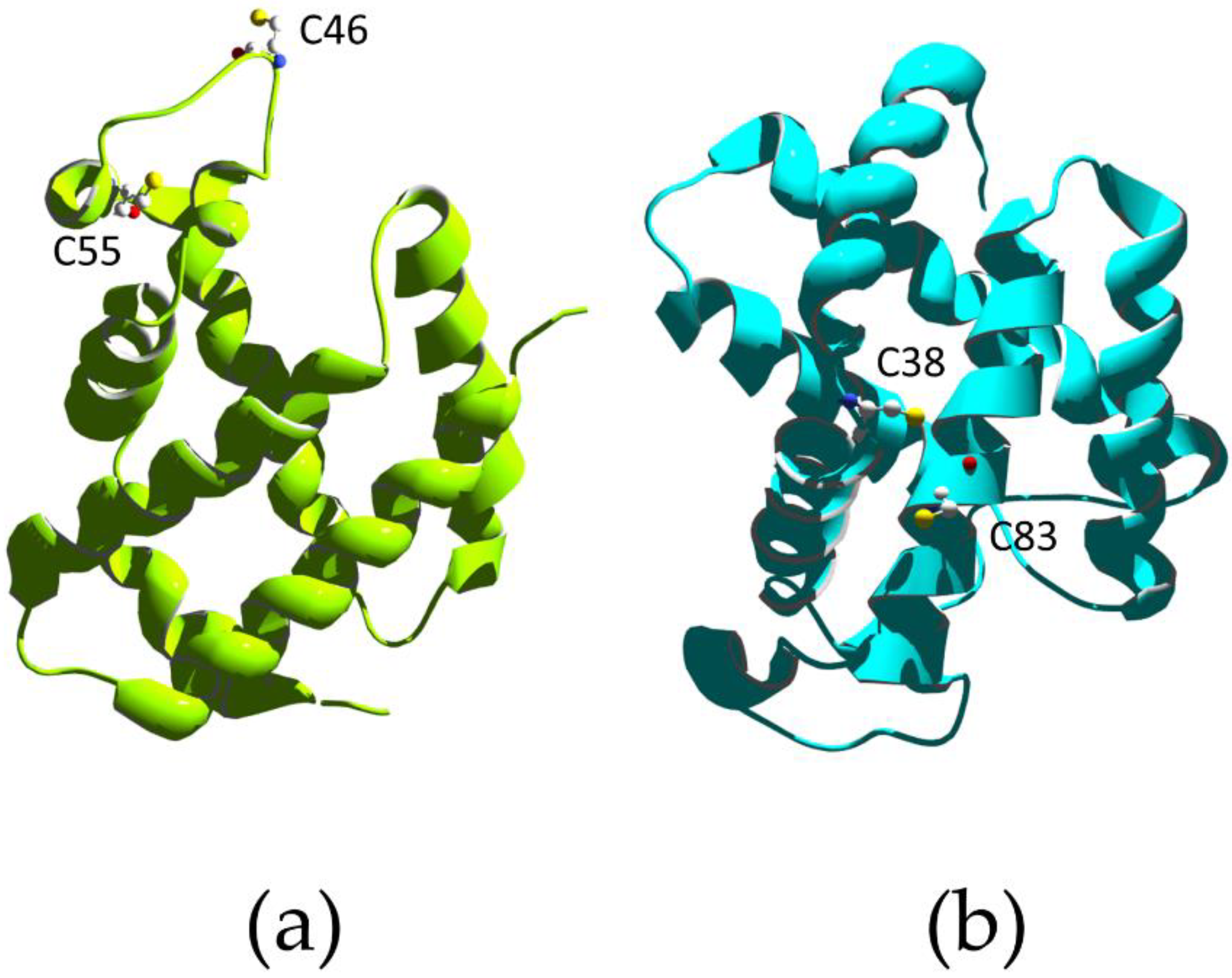 Biomolecules 13 00683 g003