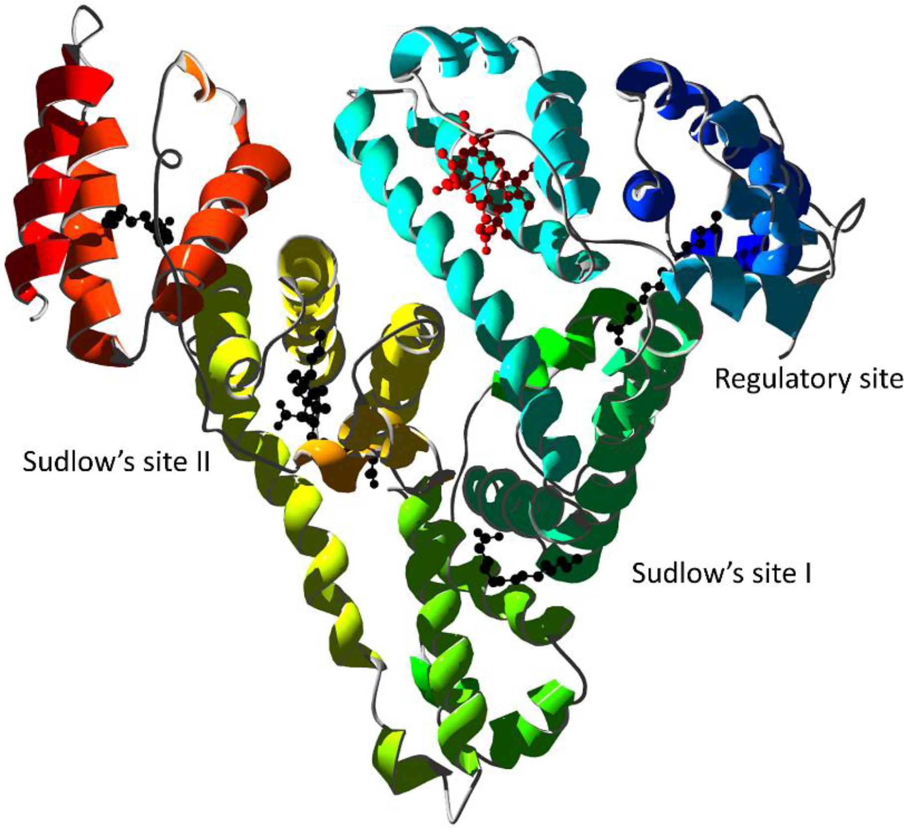 Biomolecules 13 00683 g006