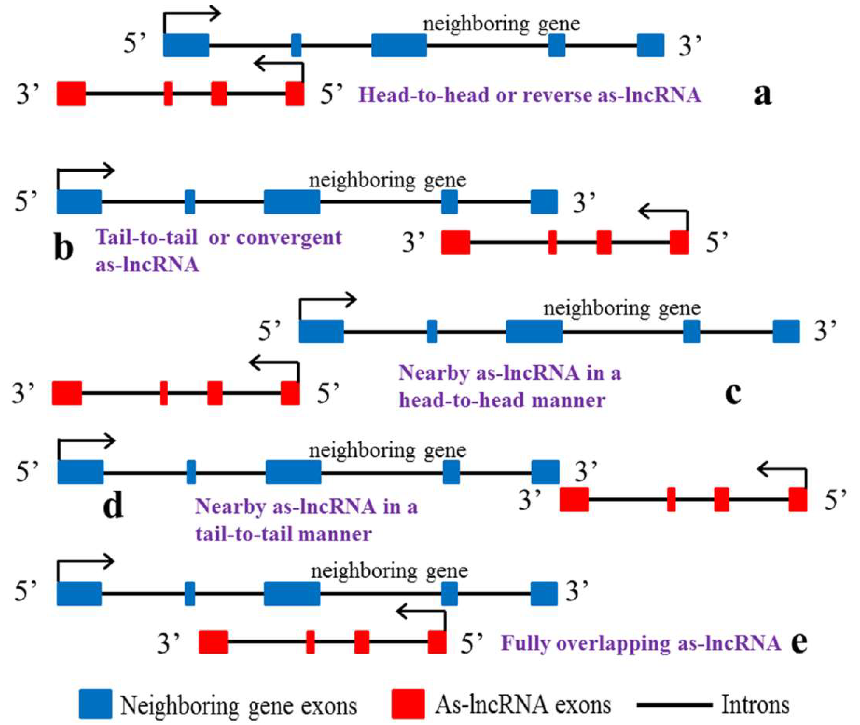 Biomolecules 13 00684 g001