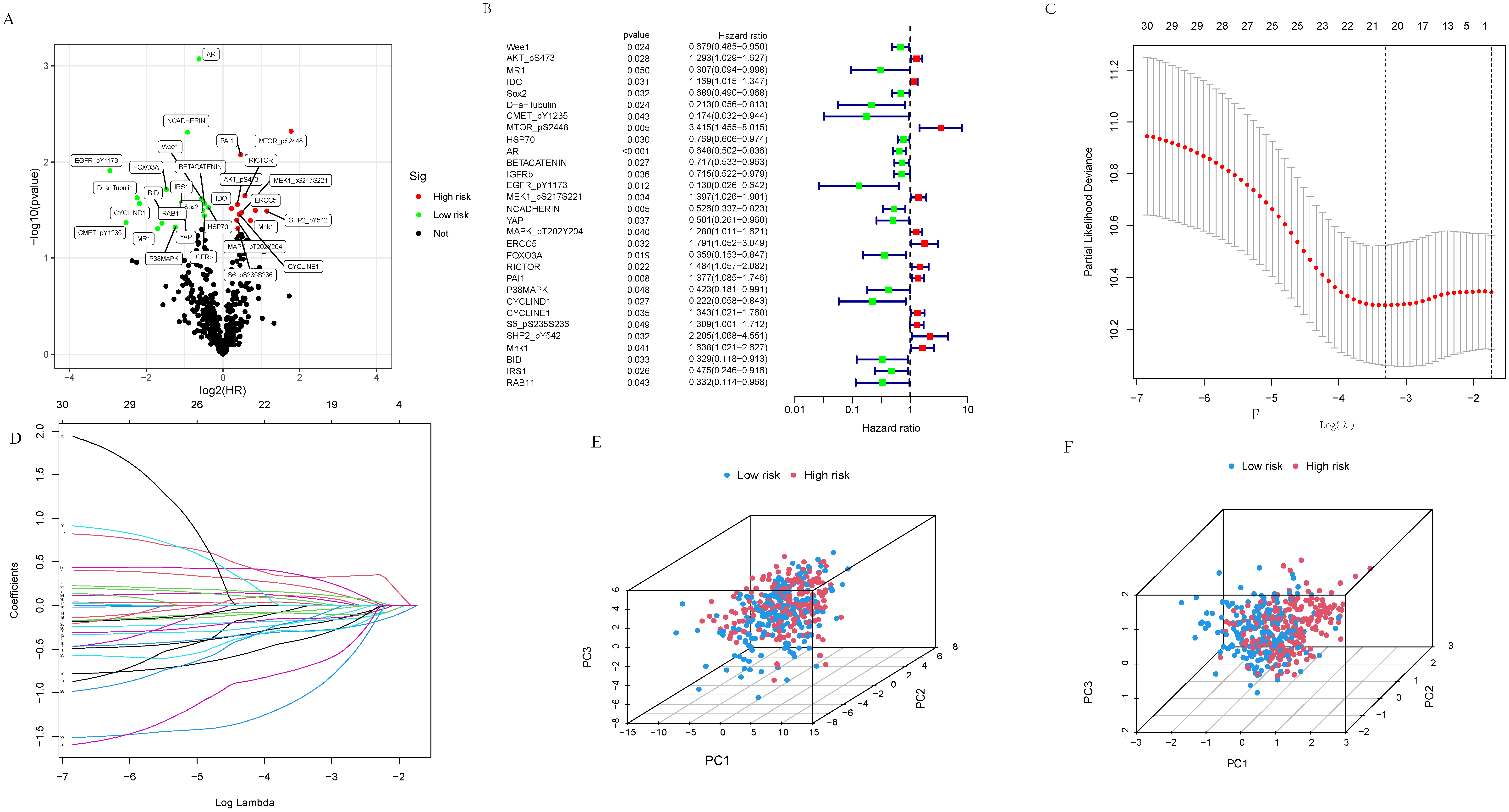 Biomolecules 13 00685 g001