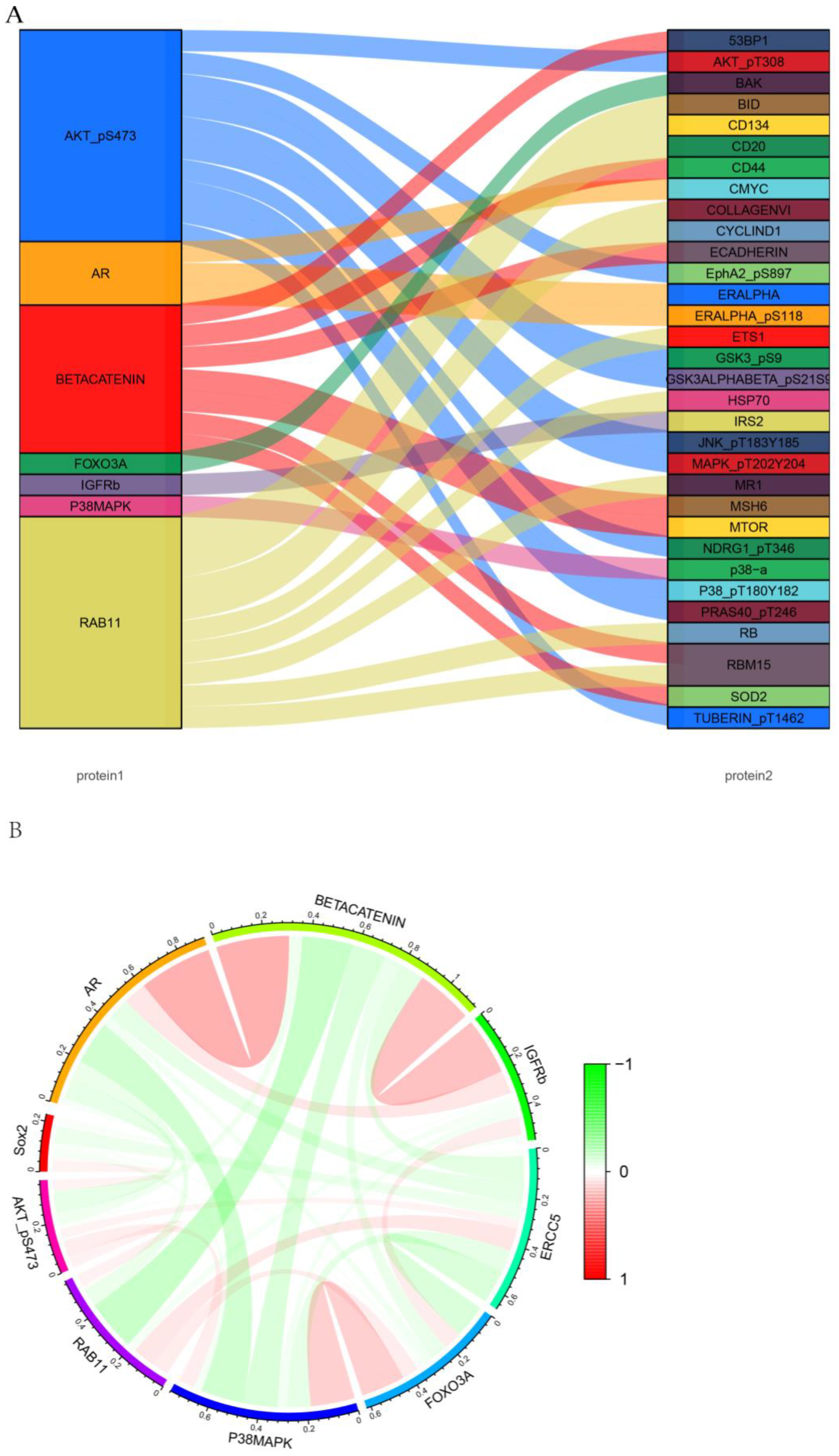 Biomolecules 13 00685 g006