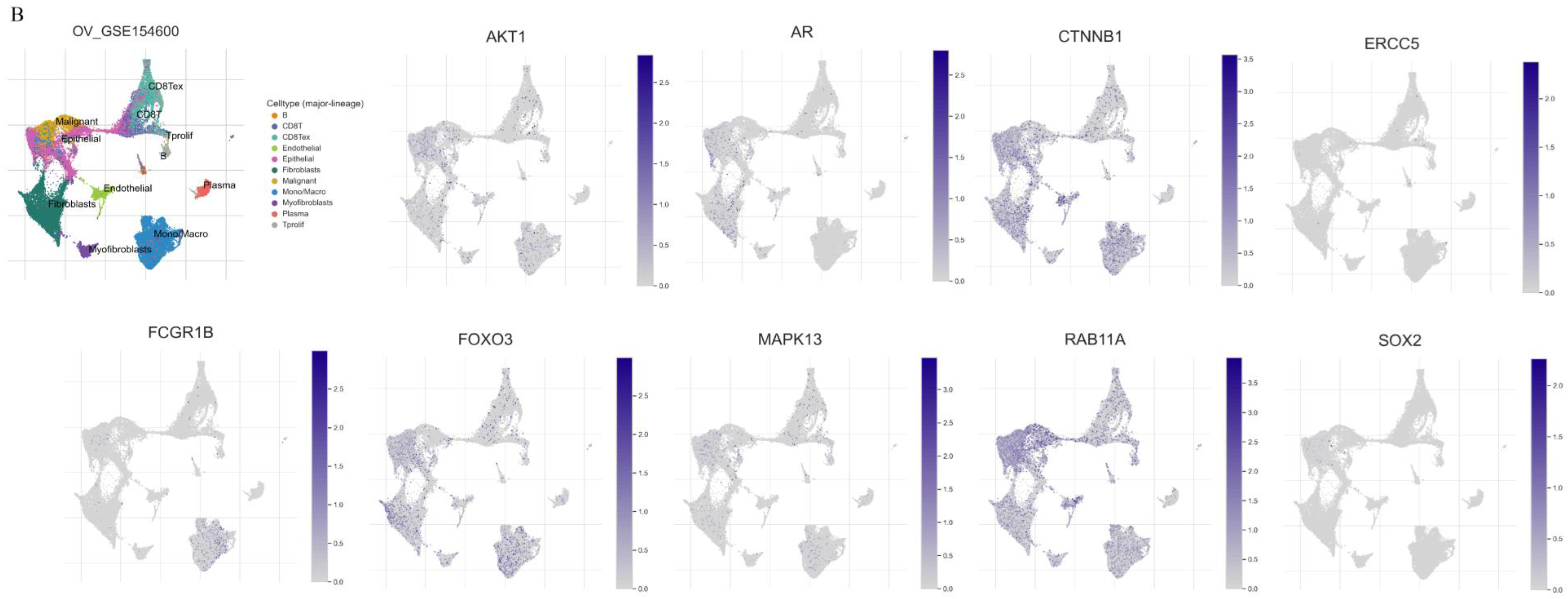 Biomolecules 13 00685 g013b