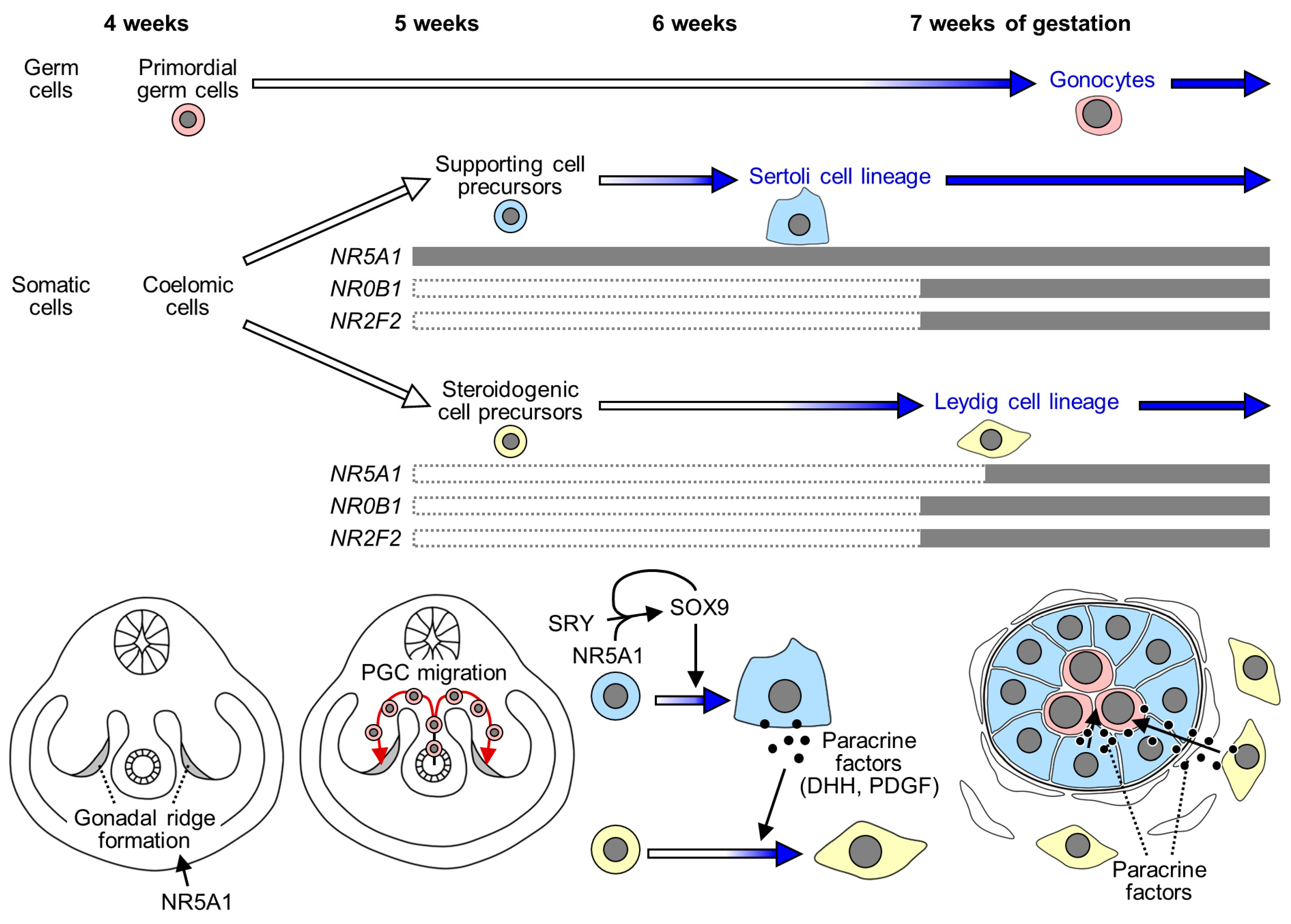 Biomolecules 13 00691 g001 Biomolecules 13 00691 g001