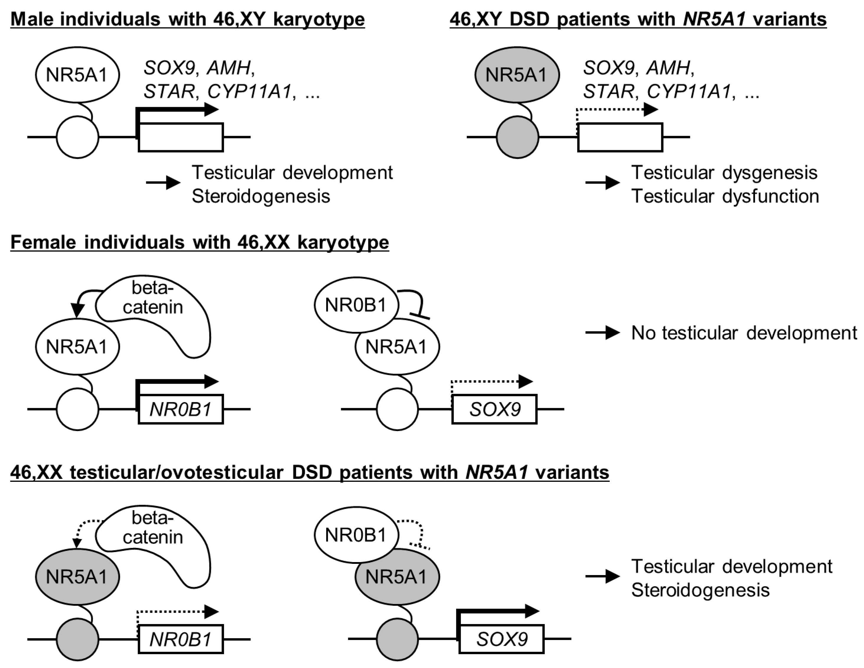 Biomolecules 13 00691 g002 Biomolecules 13 00691 g002