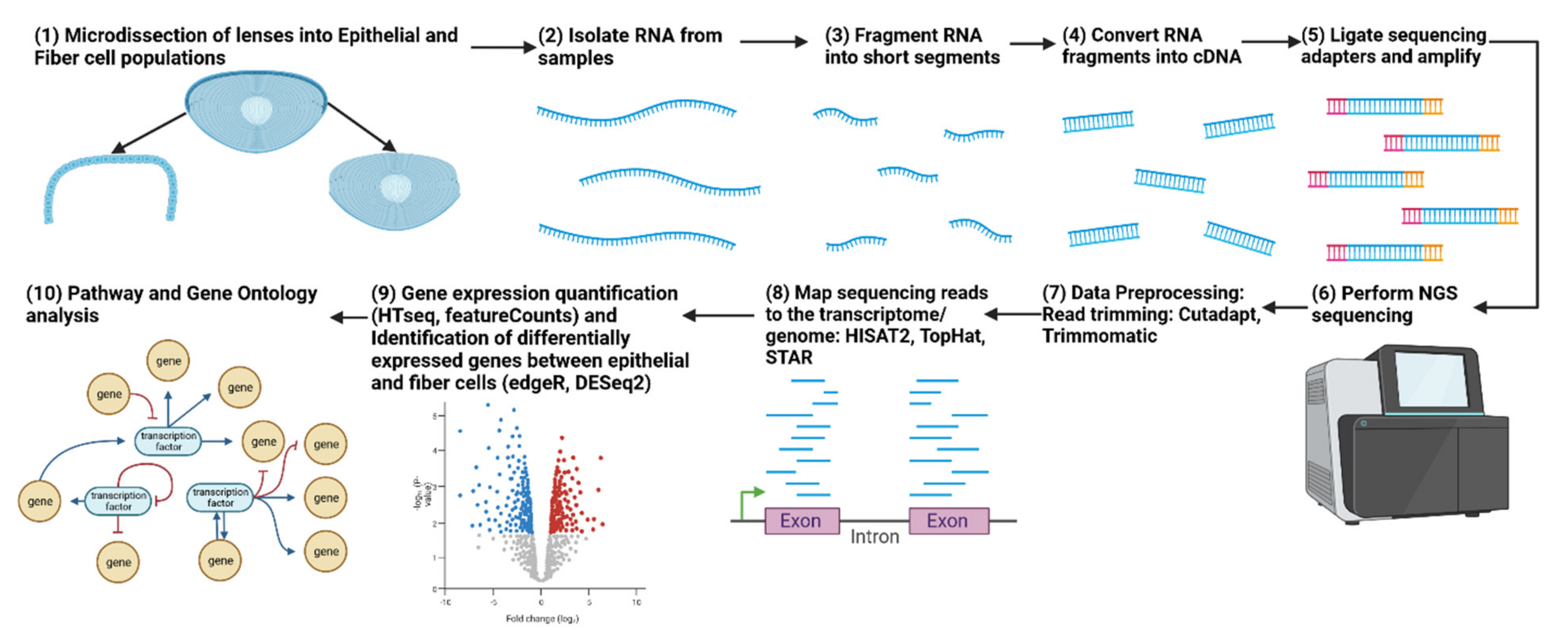Biomolecules 13 00693 g002