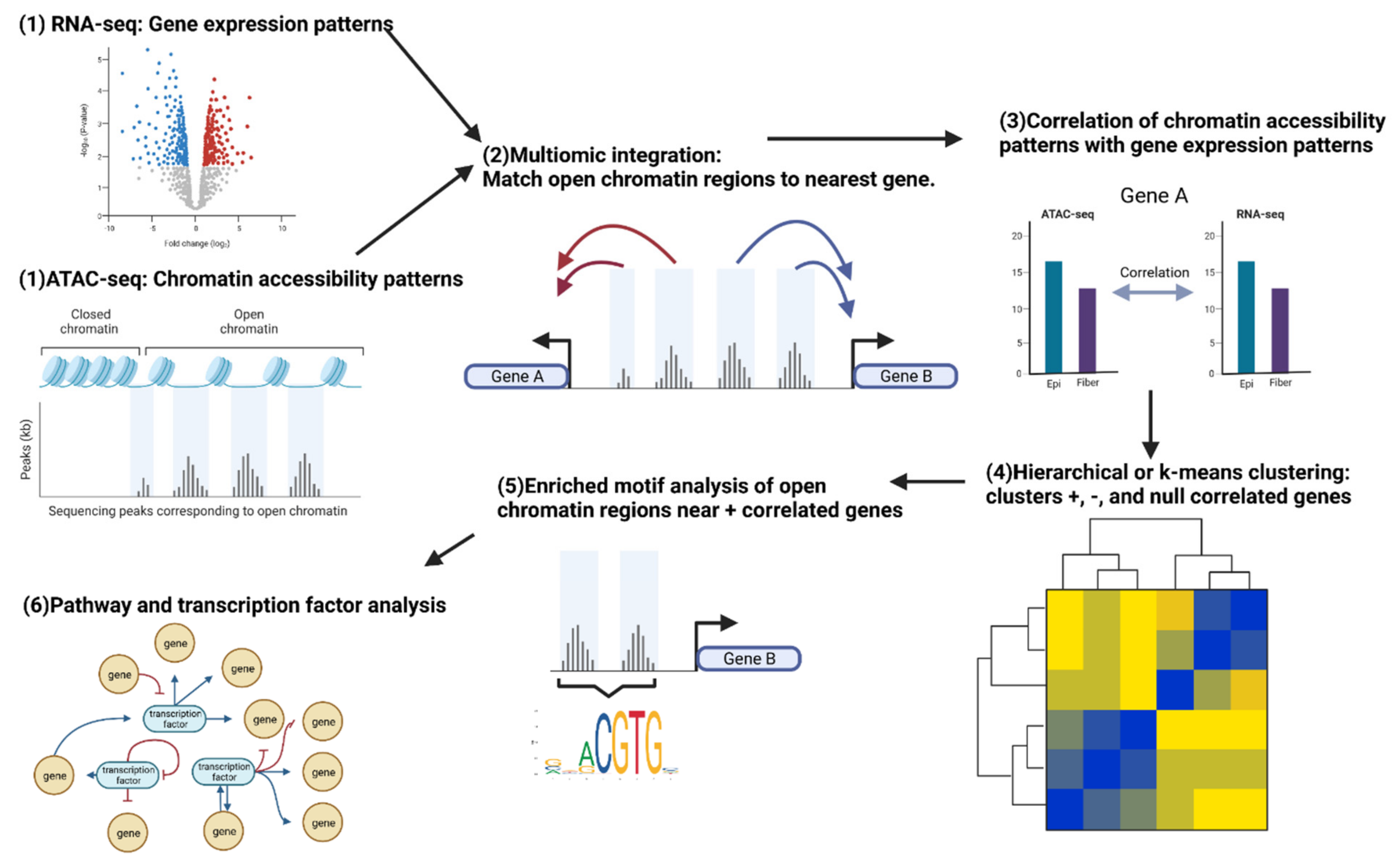 Biomolecules 13 00693 g004