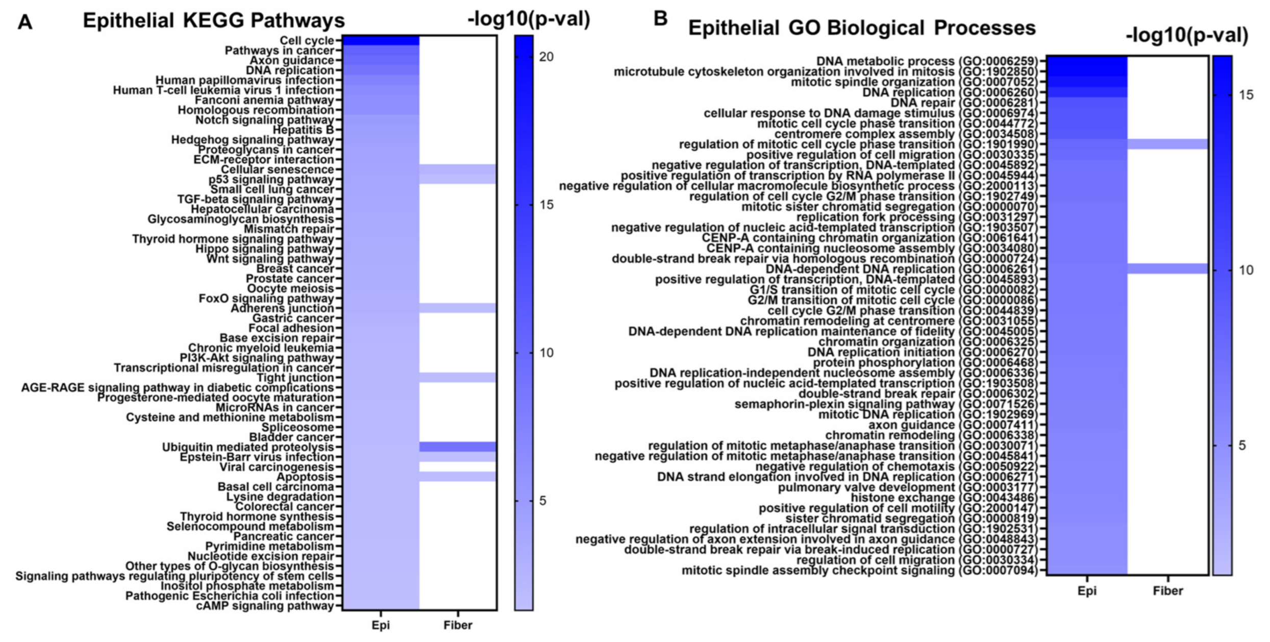 Biomolecules 13 00693 g007
