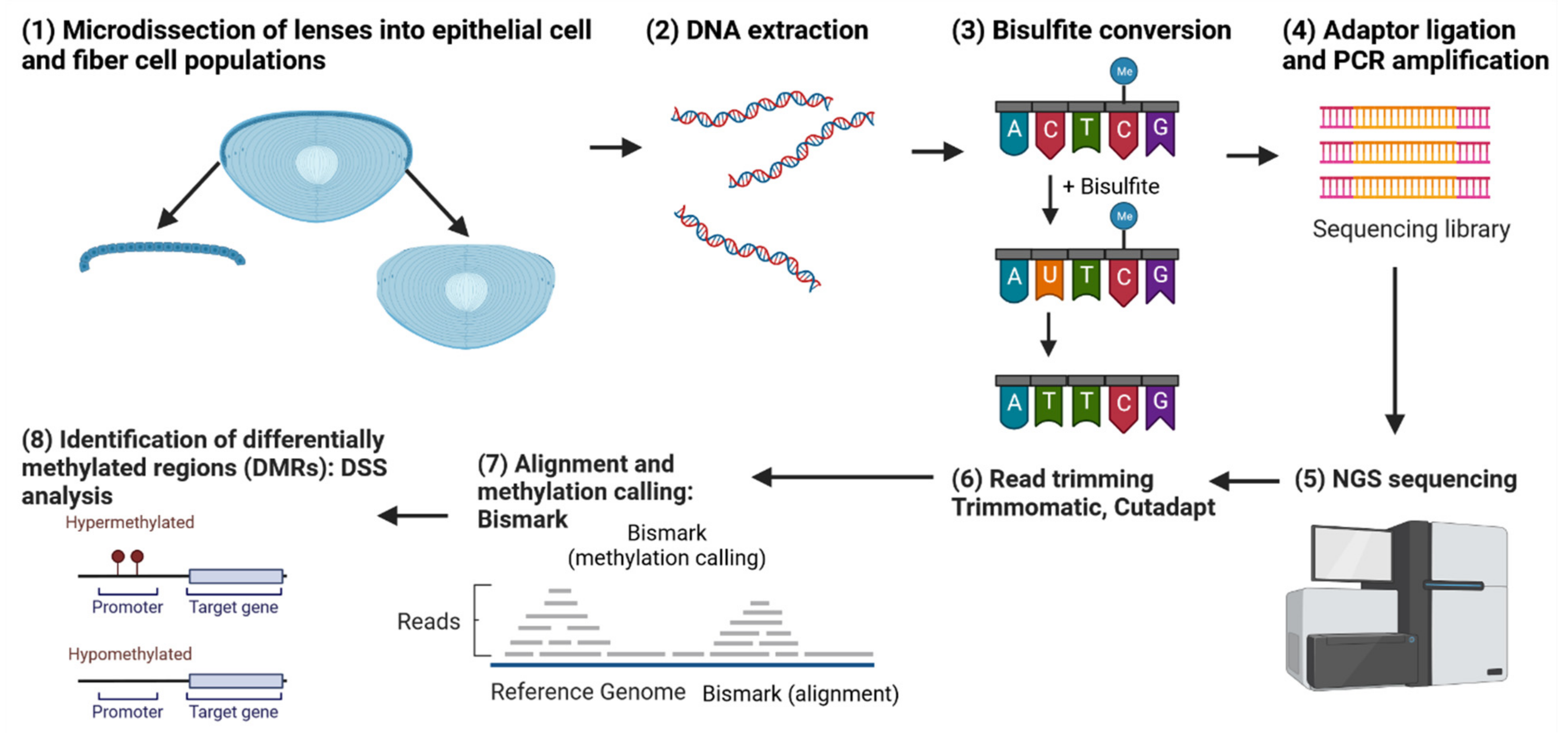Biomolecules 13 00693 g011