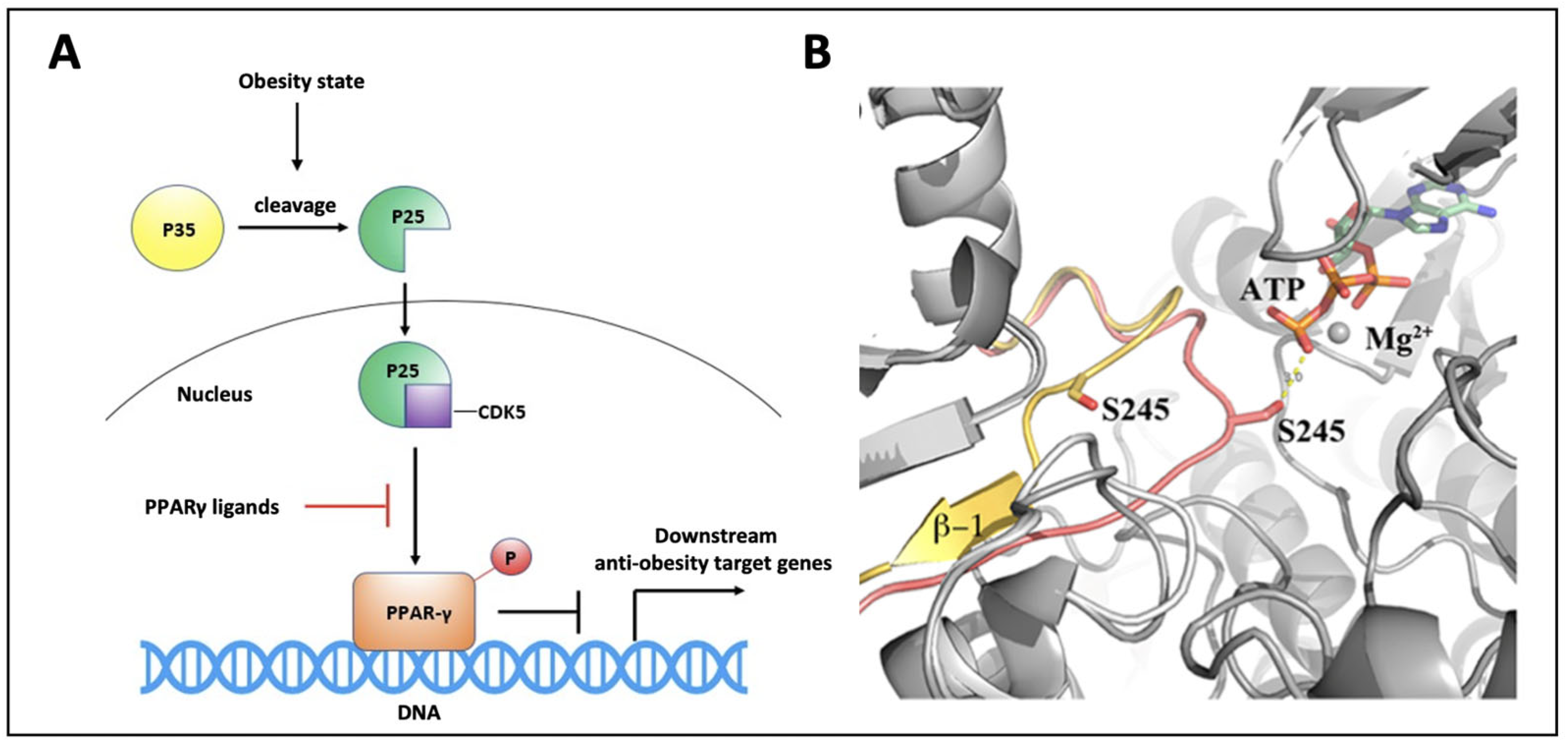 Biomolecules 13 00694 g001