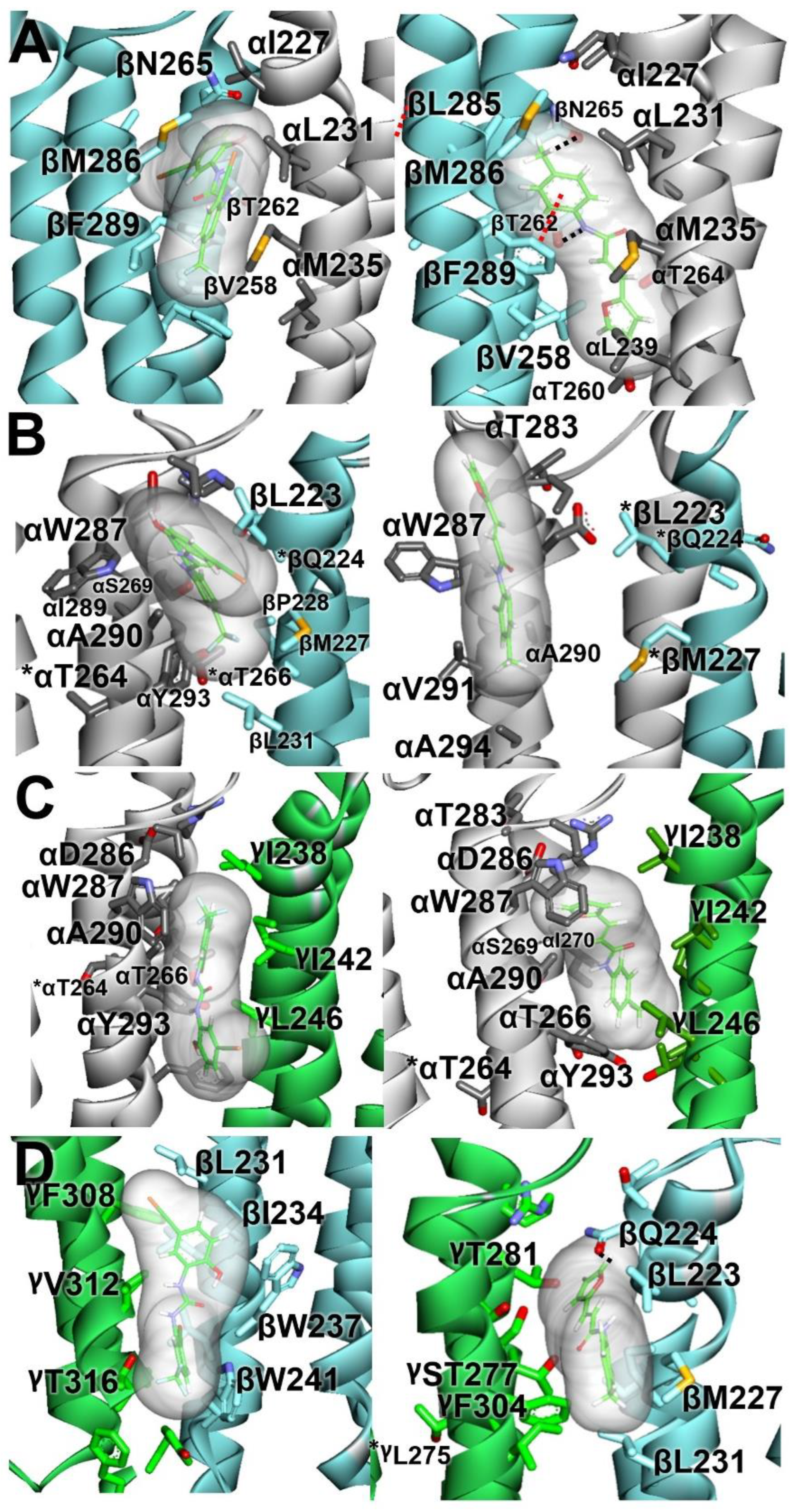 Biomolecules 13 00698 g003