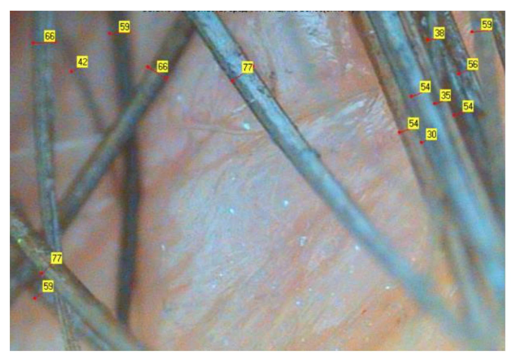 Biomolecules 13 00699 g002 Biomolecules 13 00699 g002
