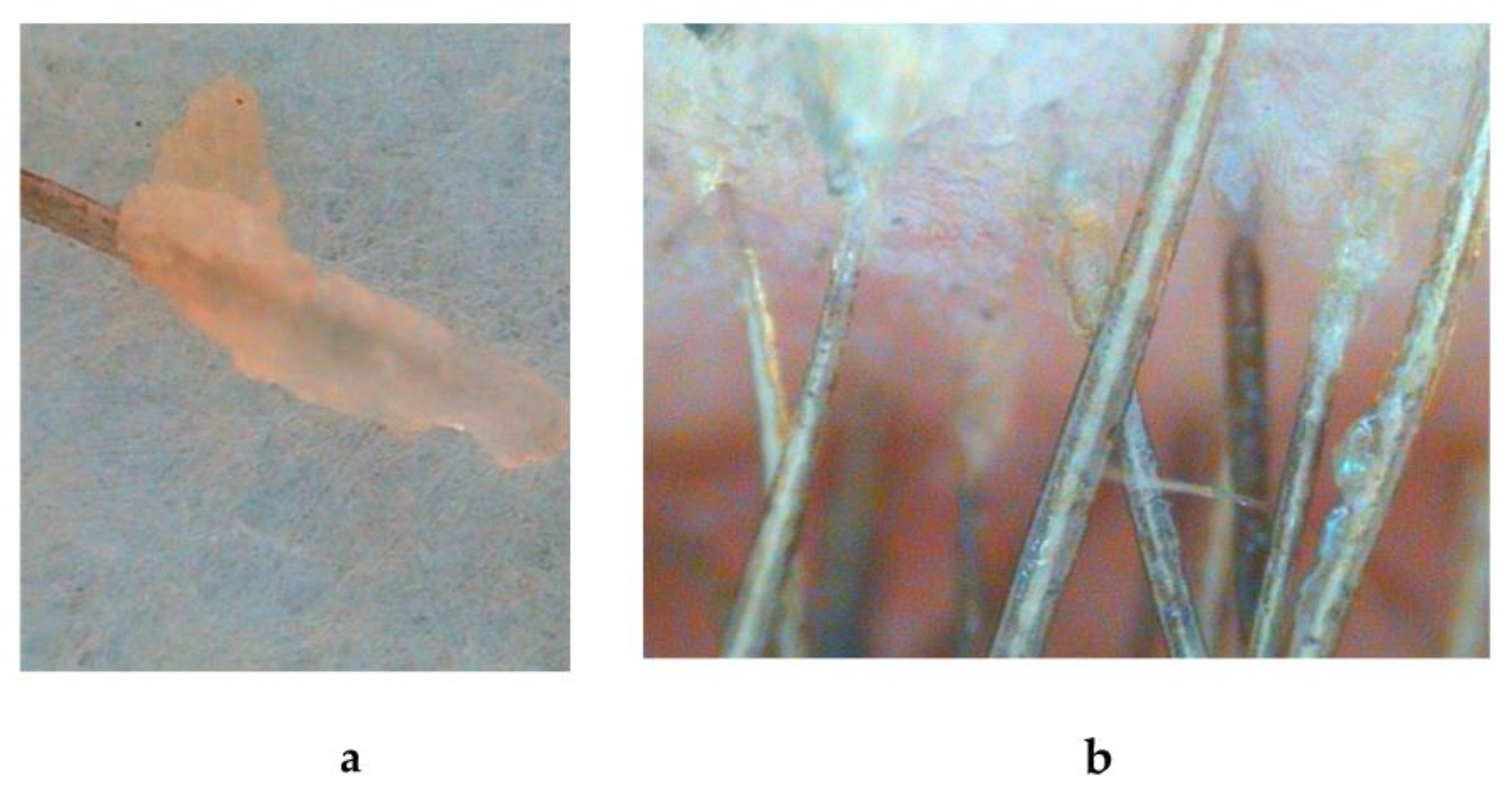 Biomolecules 13 00699 g003 Biomolecules 13 00699 g003
