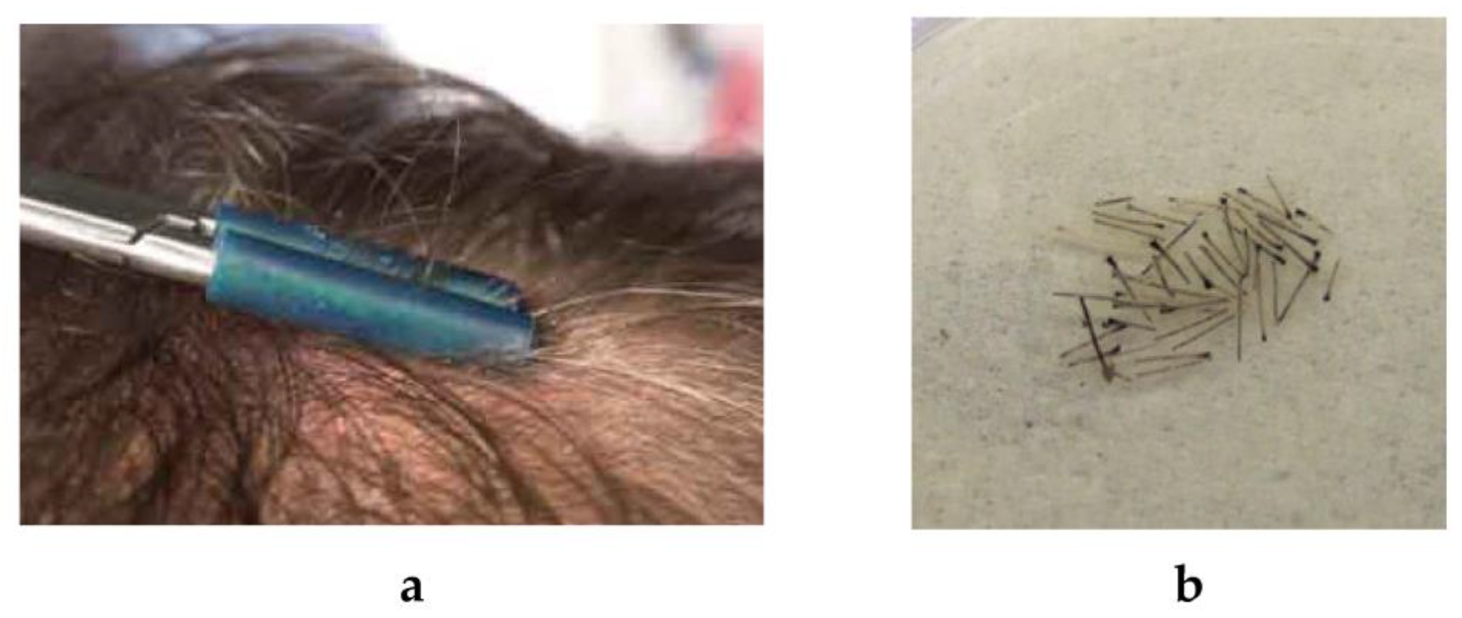 Biomolecules 13 00699 g004 Biomolecules 13 00699 g004