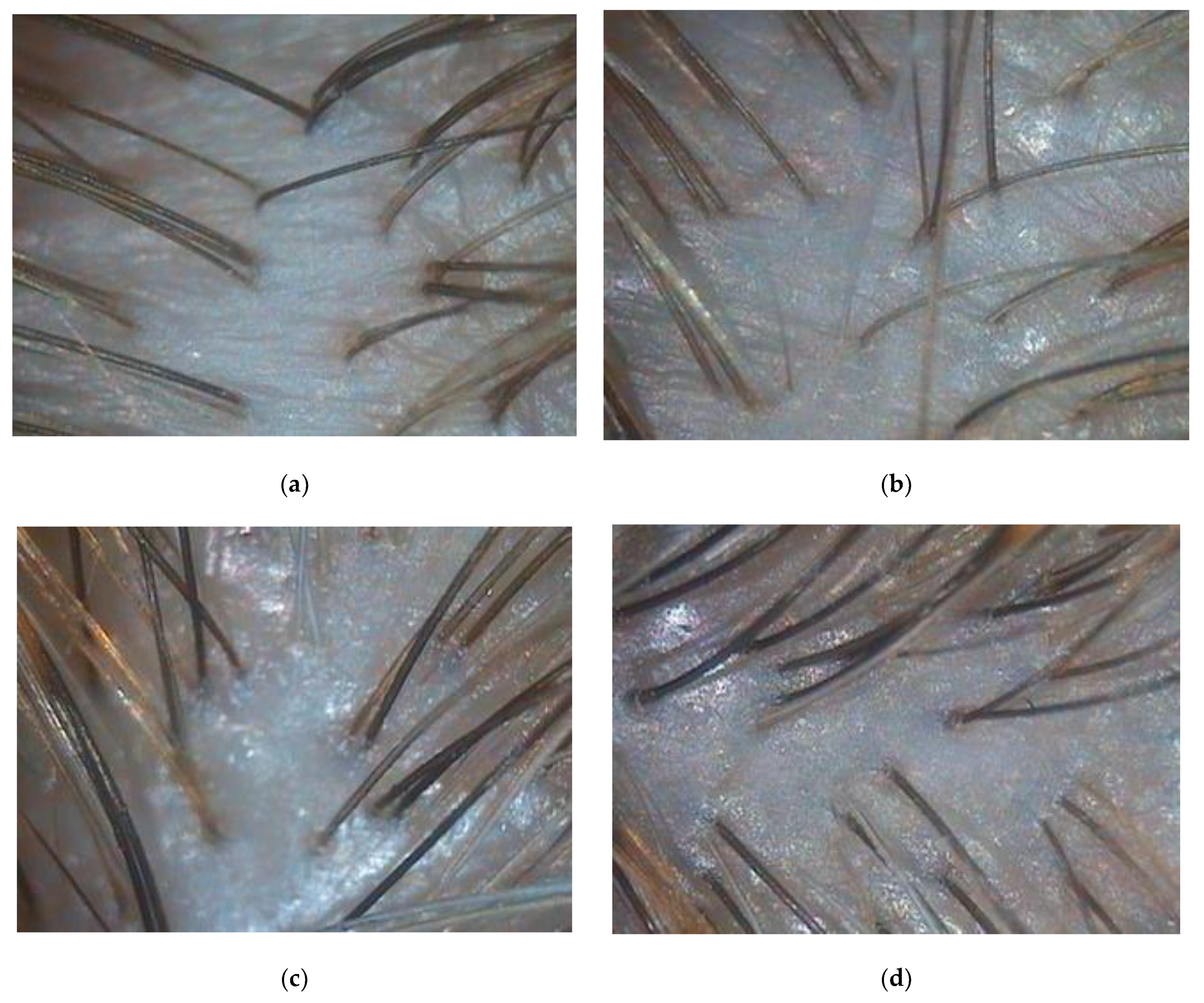Biomolecules 13 00699 g0a2 Biomolecules 13 00699 g0a2