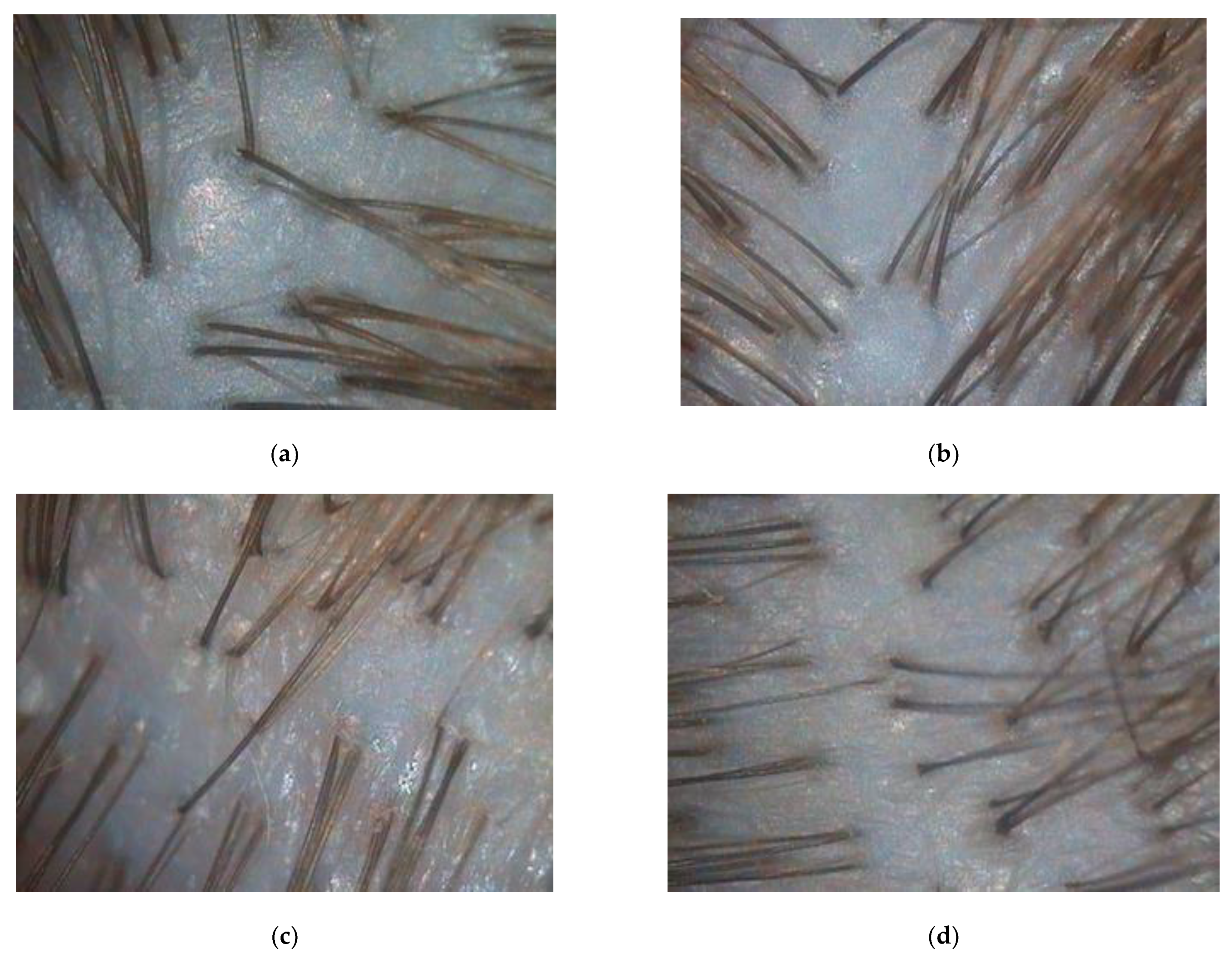 Biomolecules 13 00699 g0a3 Biomolecules 13 00699 g0a3