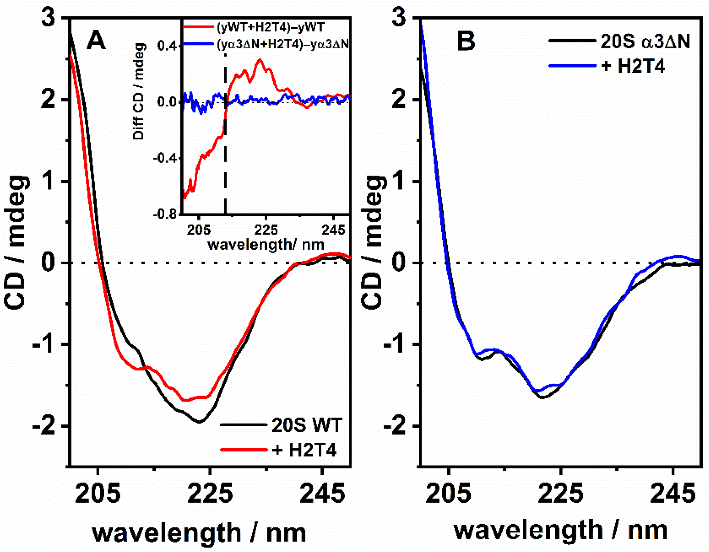 Biomolecules 13 00704 g004