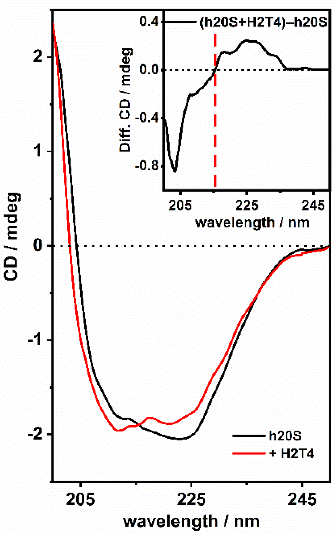 Biomolecules 13 00704 g005