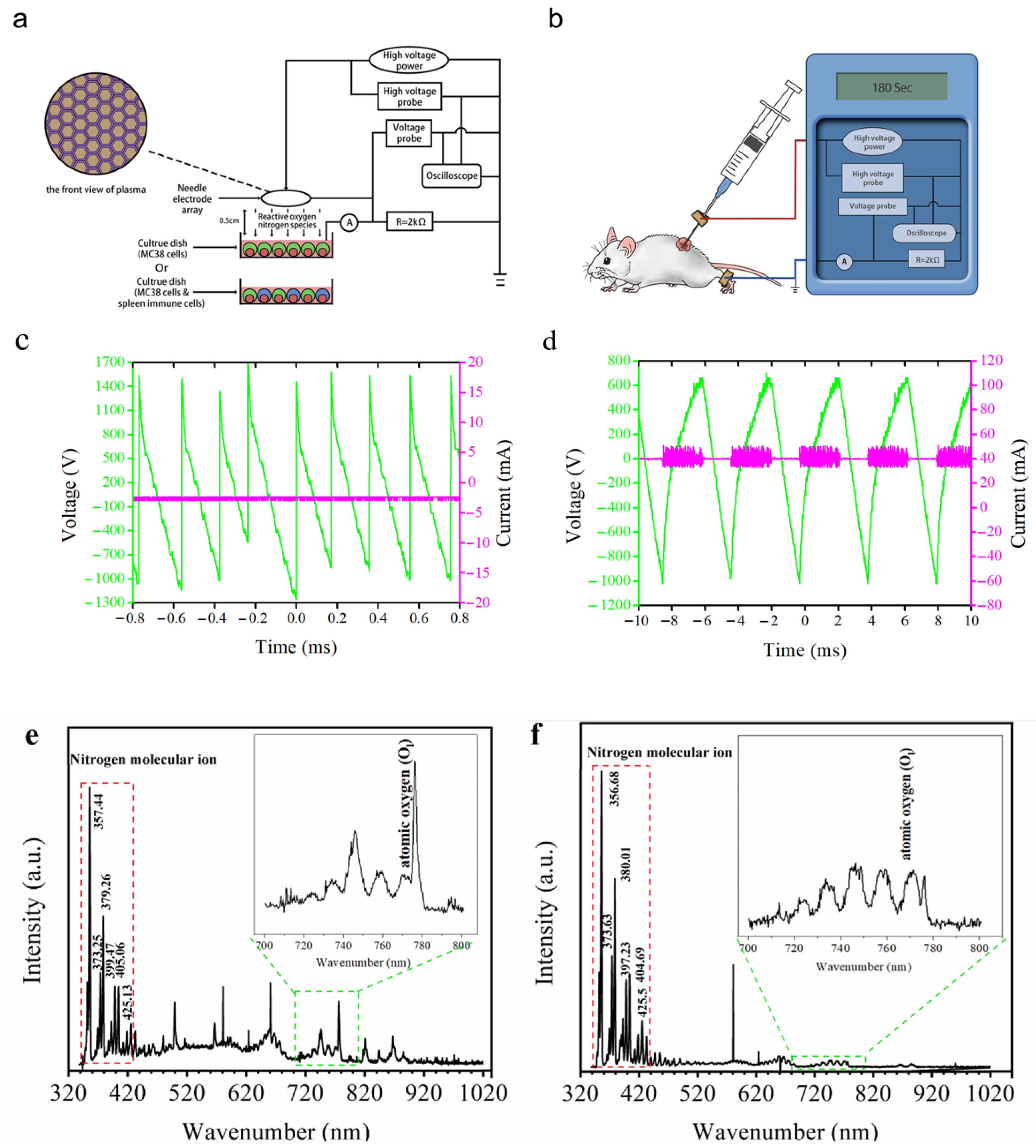Biomolecules 13 00707 g001