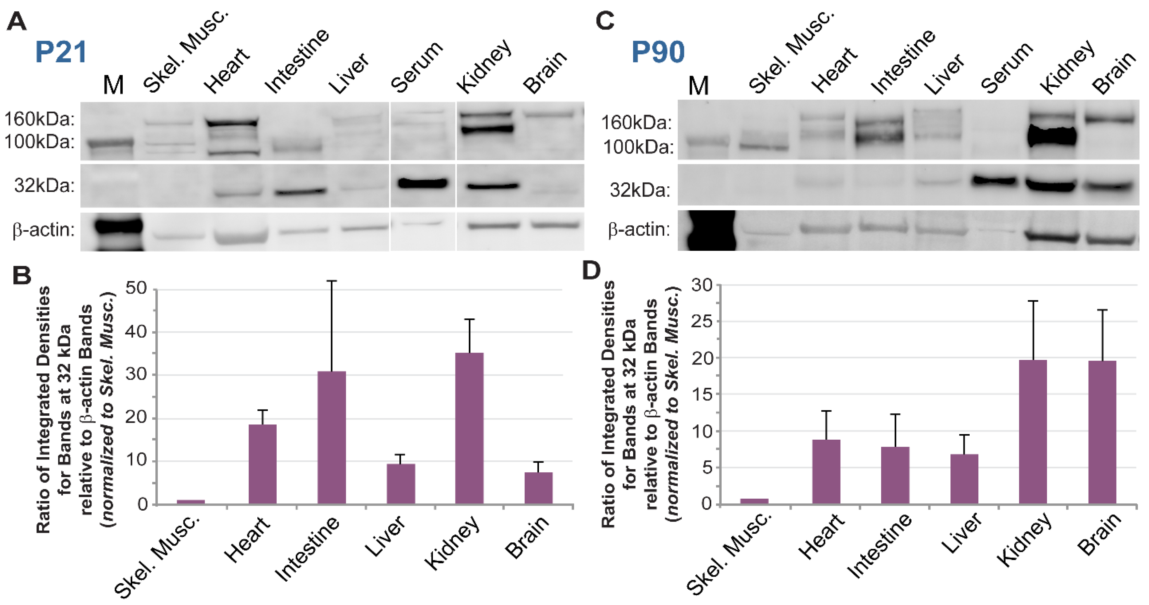 Biomolecules 13 00711 g001
