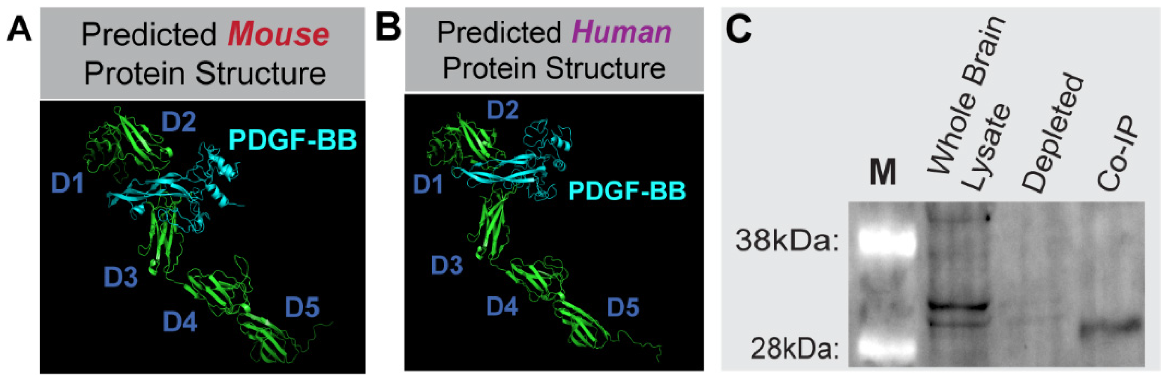 Biomolecules 13 00711 g003