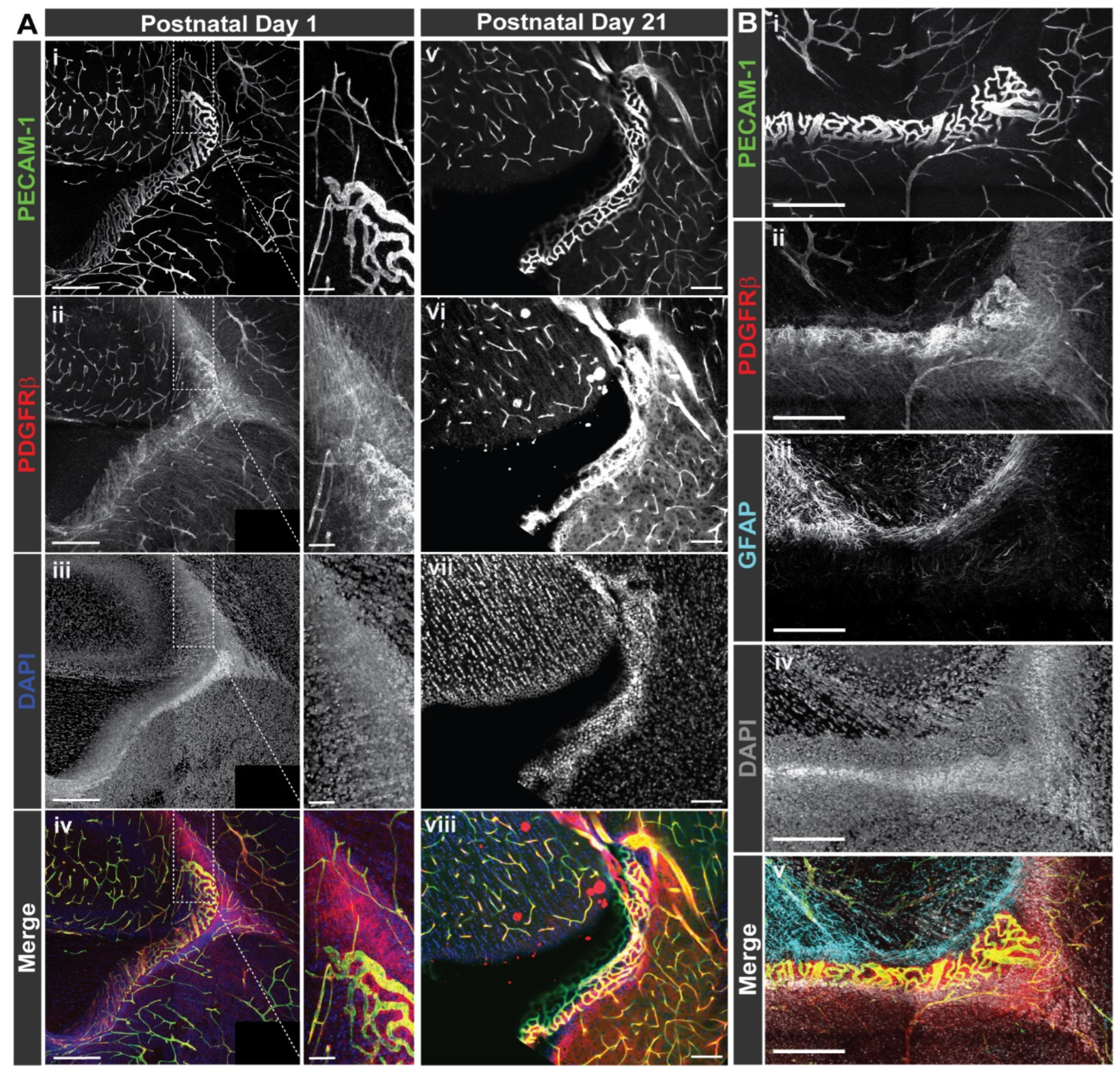 Biomolecules 13 00711 g005