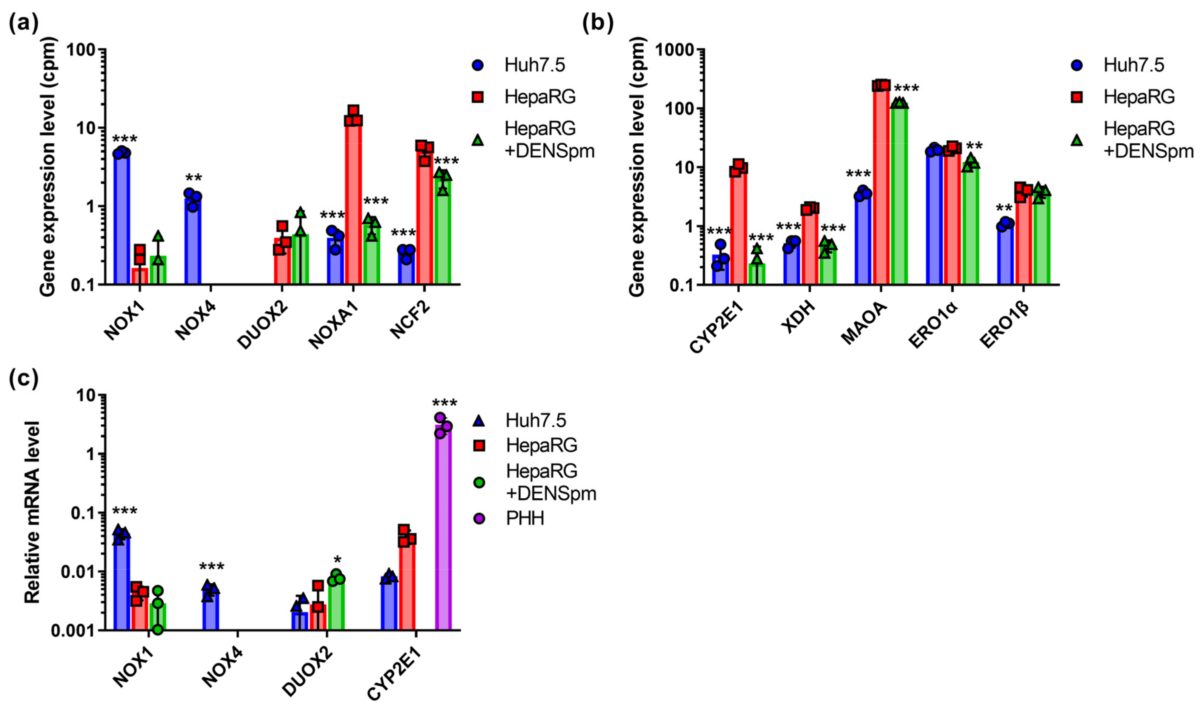 Biomolecules Free Full-Text Transcriptome Analysis of Redox Systems and Polyamine Metabolic Pathway in Hepatoma and Non-Tumor Hepatocyte-like Cells