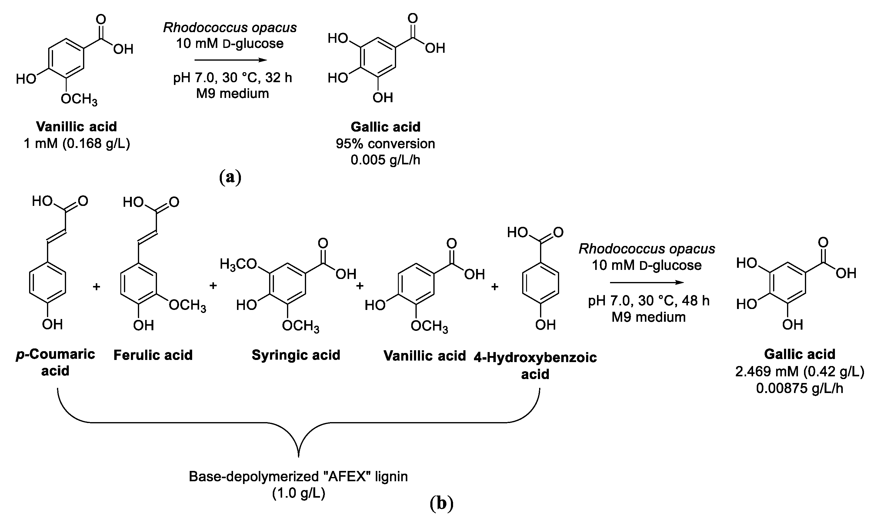 Biomolecules 13 00717 sch007 Biomolecules 13 00717 sch007
