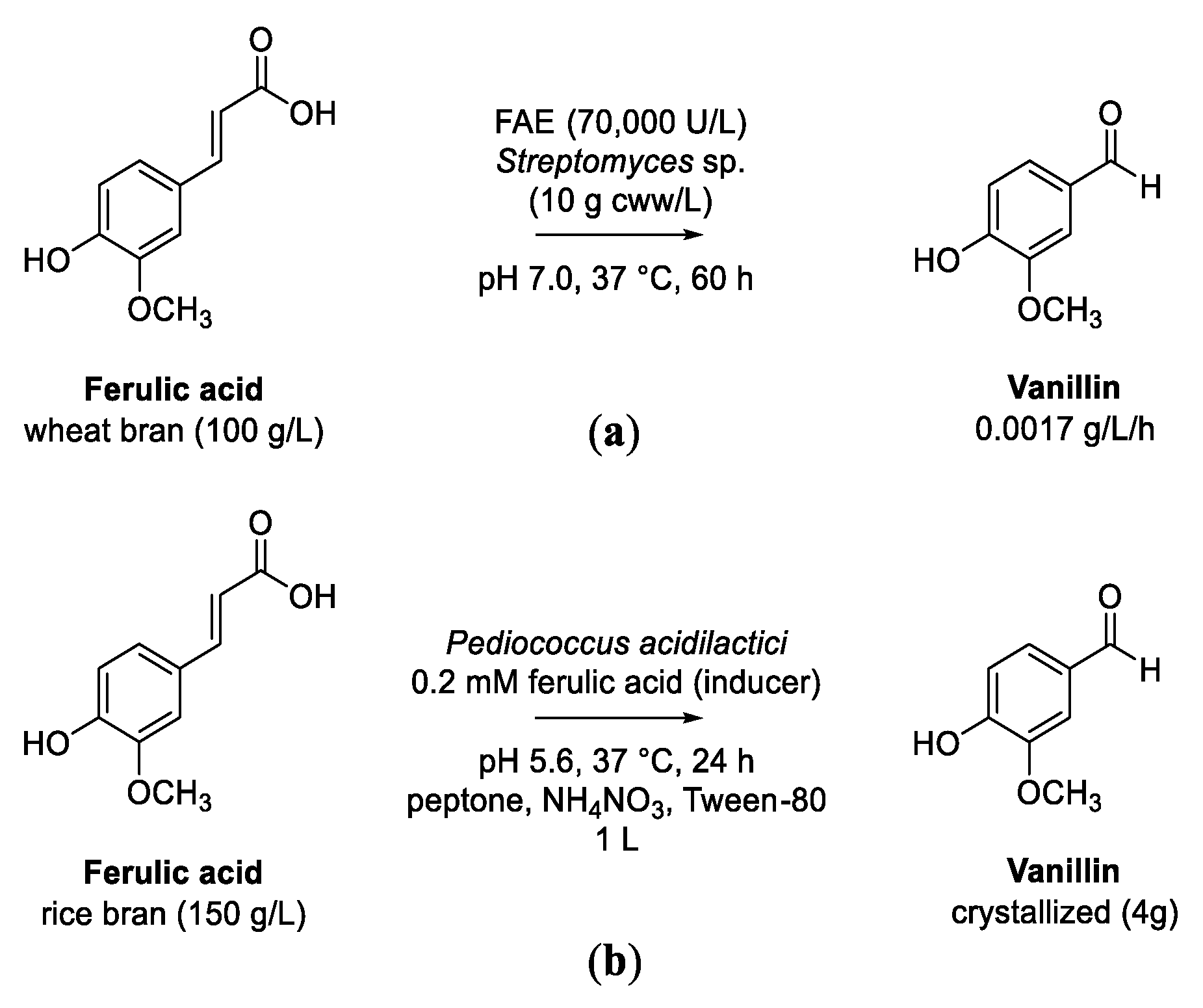 Biomolecules 13 00717 sch010 Biomolecules 13 00717 sch010