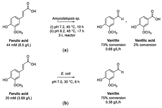 Bio-Based Valorization of Lignin-Derived Phenolic Compounds