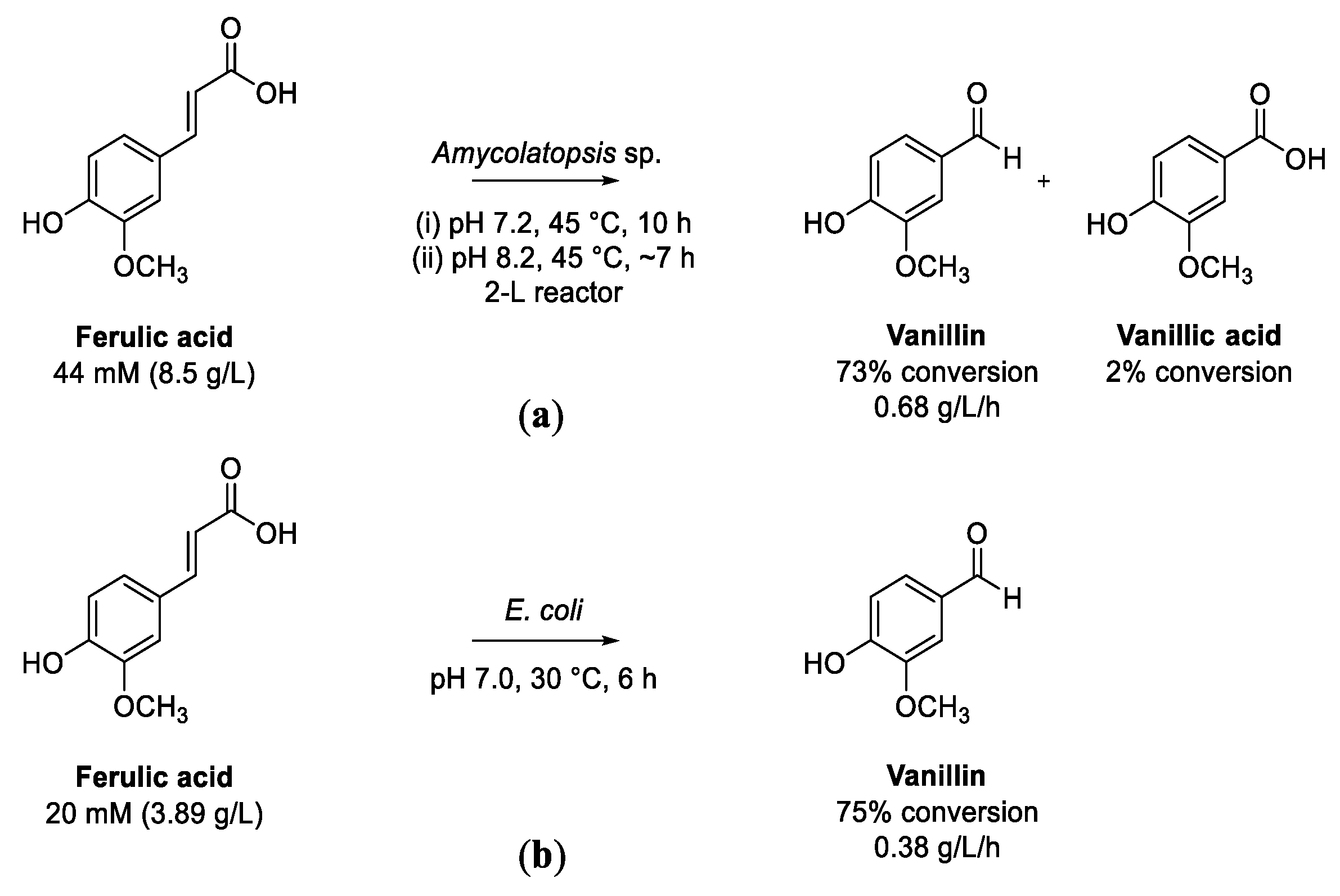 Biomolecules 13 00717 sch011 Biomolecules 13 00717 sch011