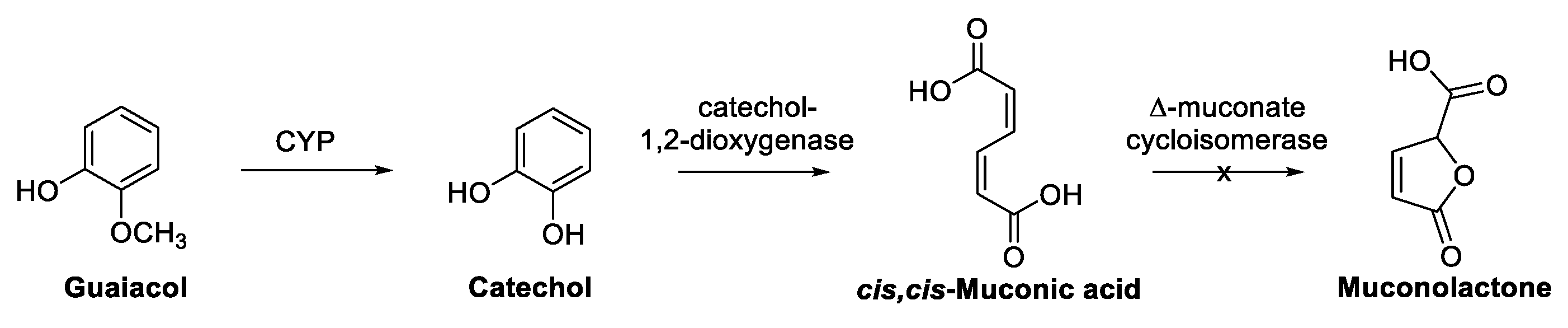 Biomolecules 13 00717 sch015 Biomolecules 13 00717 sch015